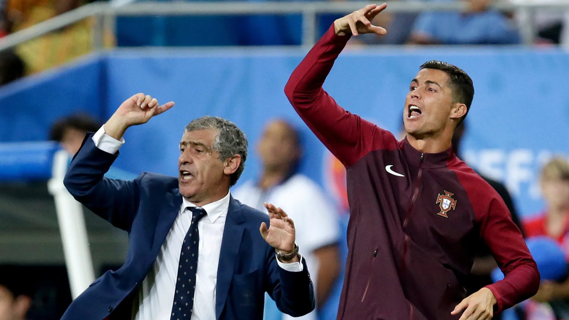 
                    Fernando Santos aponta 