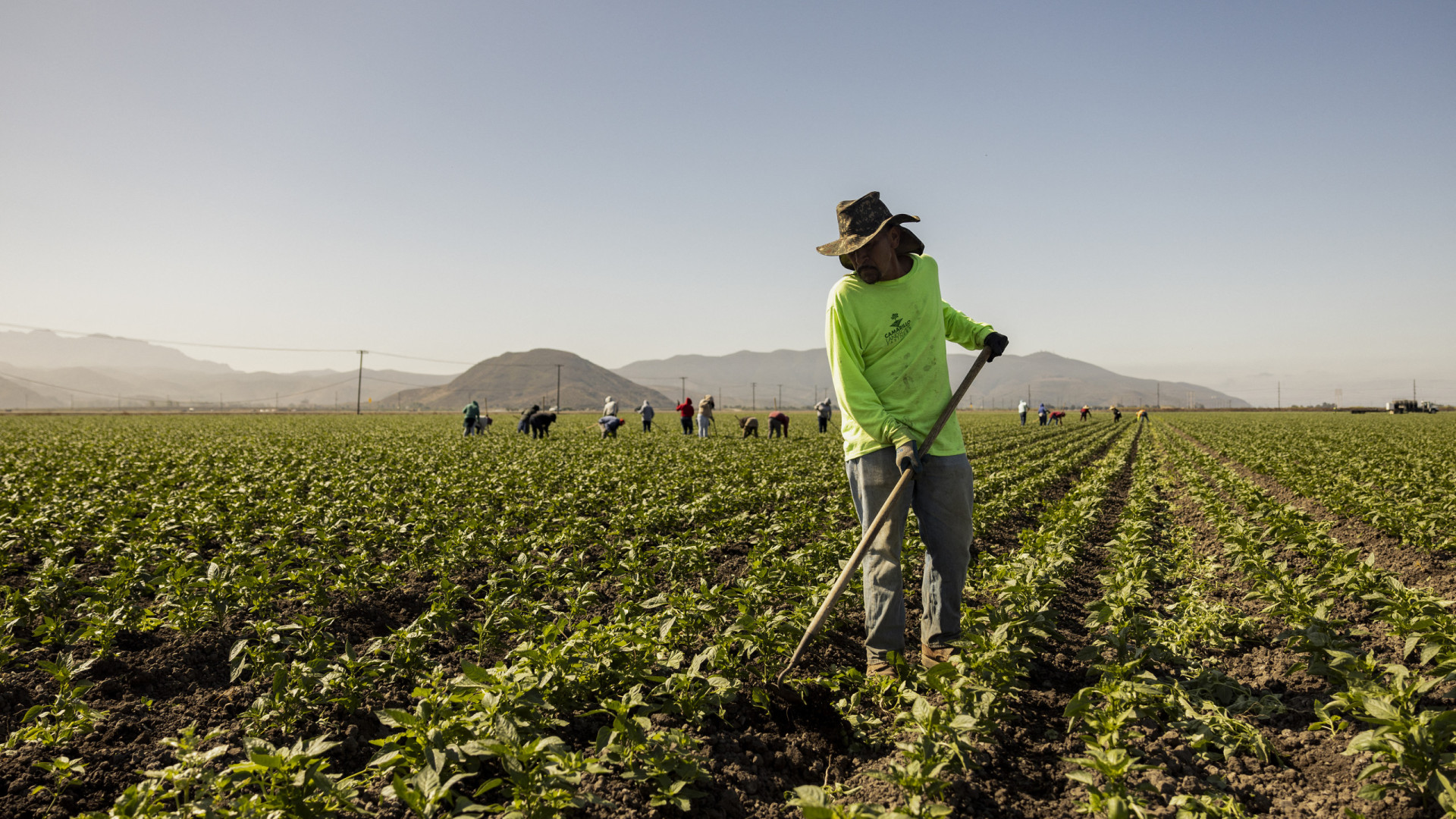 Estudo aponta imigrantes como fundamentais para sucesso agrícola no sudoeste alentejano