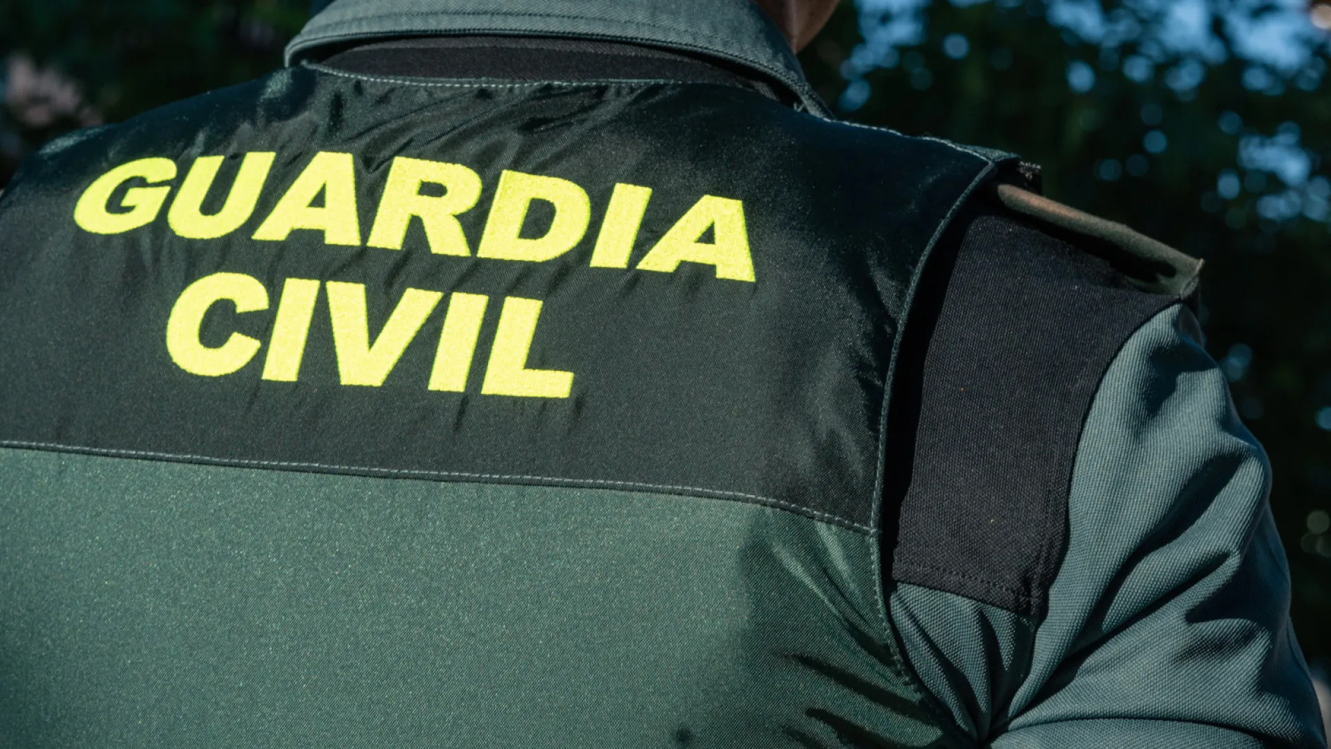 Polícia espanhola encontra cocaína em contentores com carne congelada