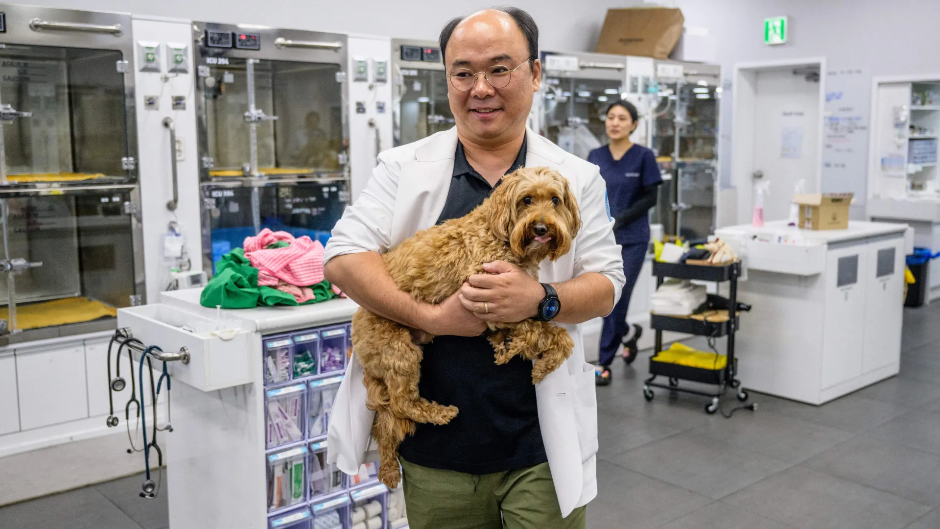 Já há veterinários a usarem IA em diagnósticos na Coreia do Sul