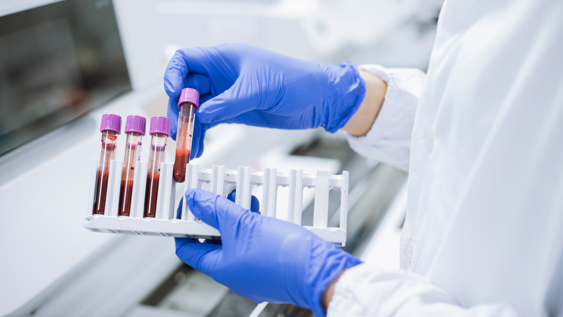 Instituto Português do Sangue repudia críticas sobre campanha