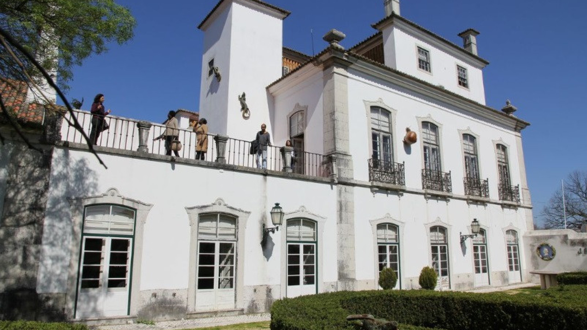 Faianças queimadas no terramoto de 1755 reveladas no Museu de Lisboa