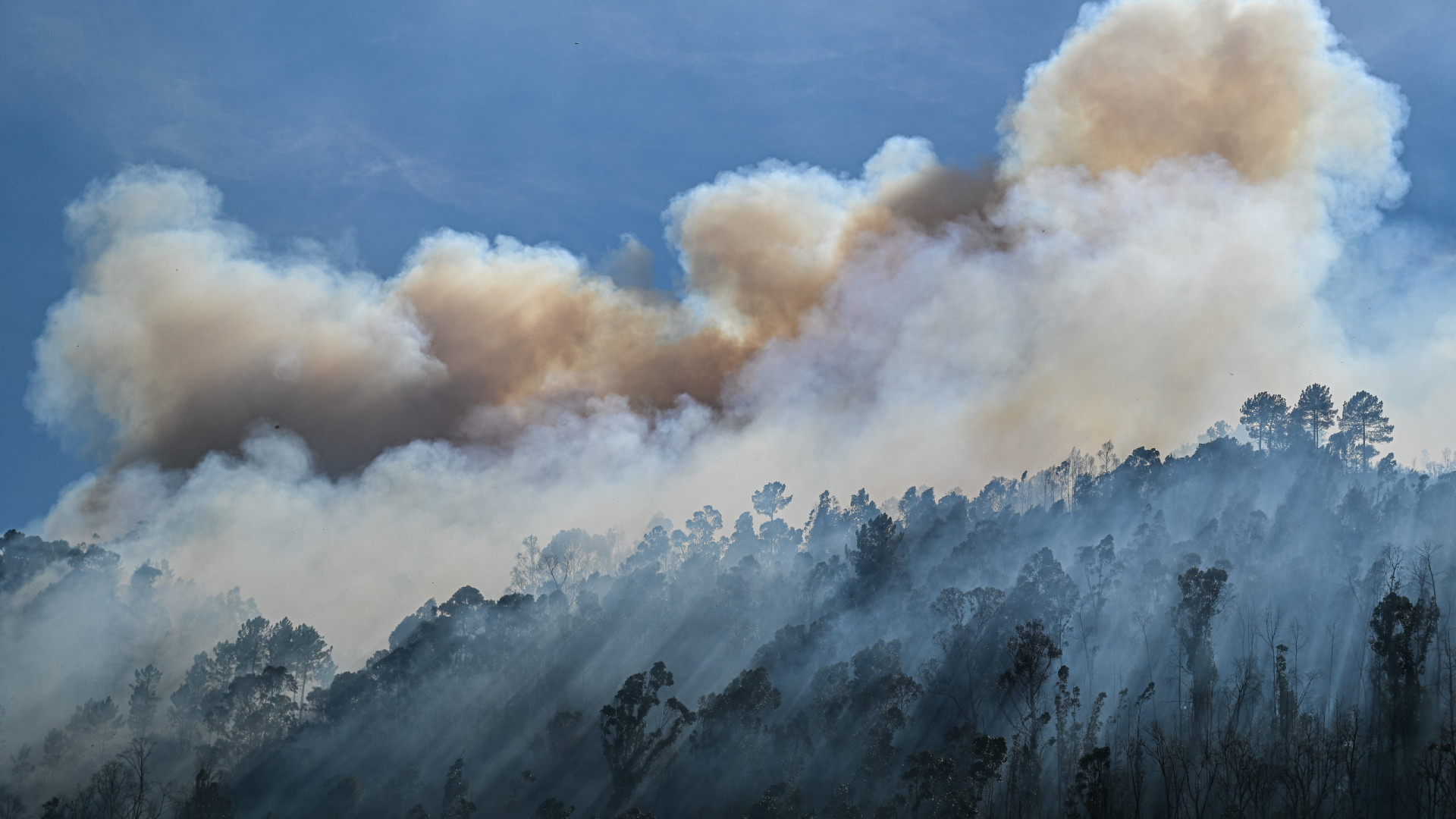 Incêndios? Zero defende rapidez na identificação de pontos críticos