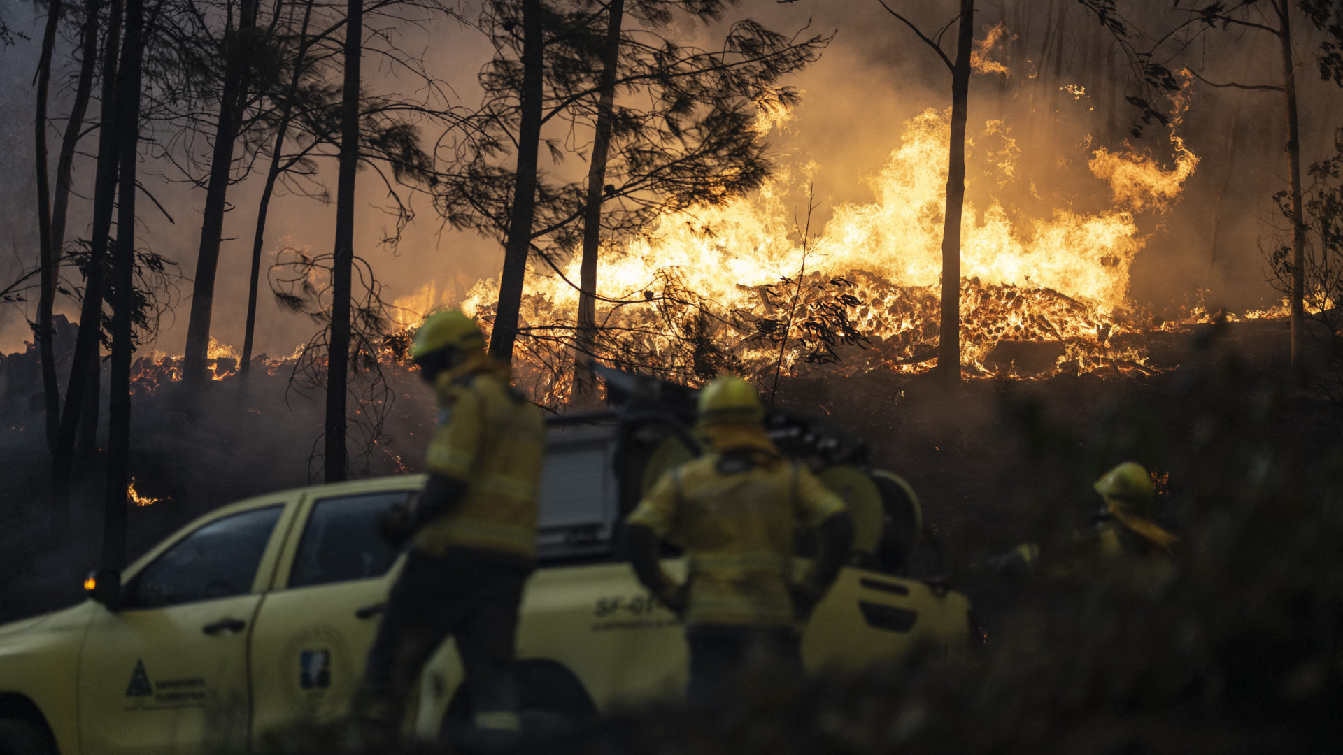 Fogos em Aveiro 