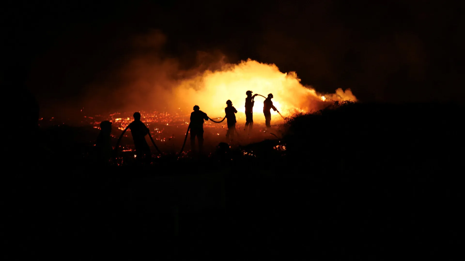 
                    Arouca com balcão para ajudar agricultores afetados por fogos
                