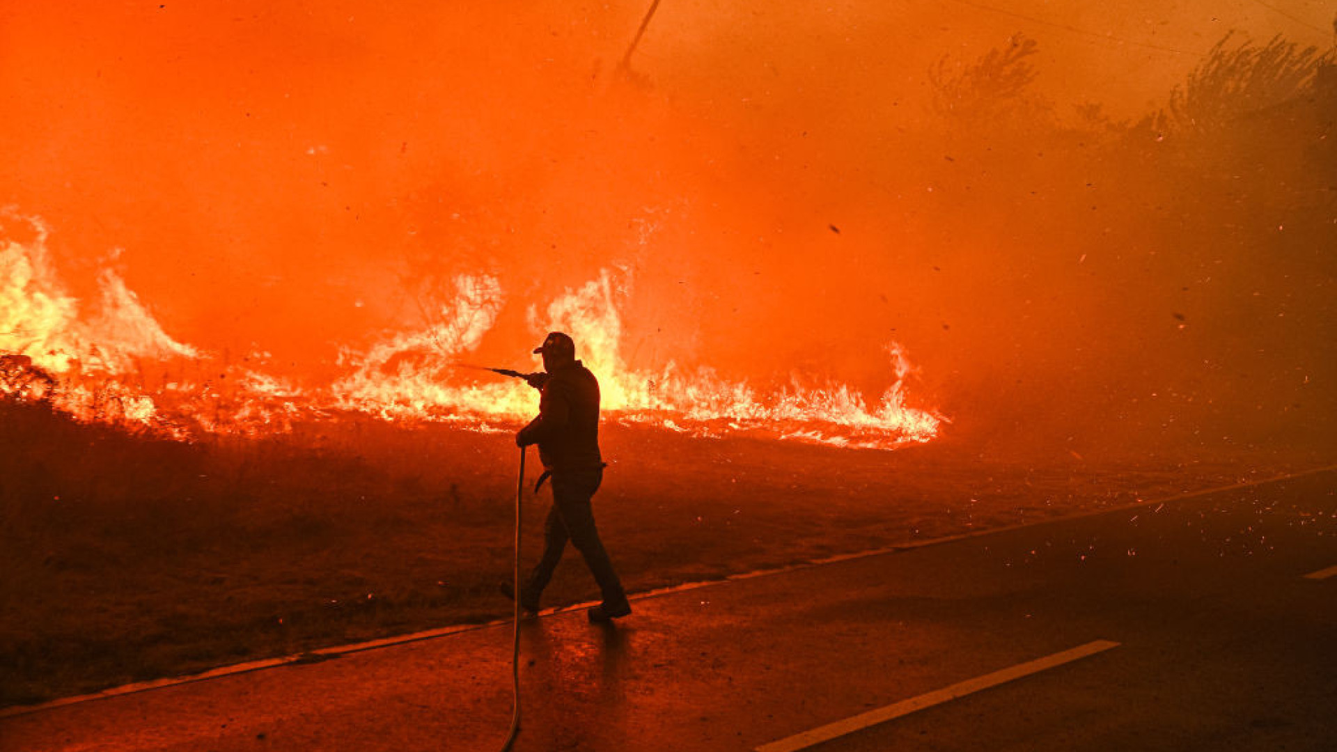 Fogos afetaram algumas zonas de vinho verde (mas há seguro de colheitas)