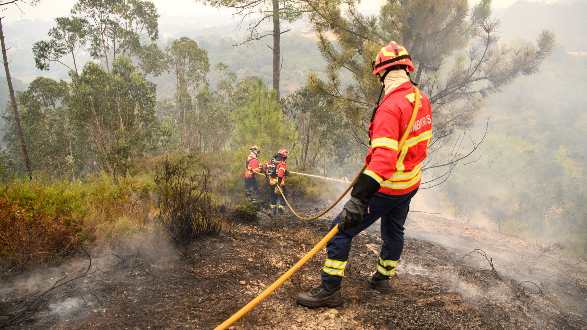 Perigo máximo de incêndio rural no Interior norte e no Centro