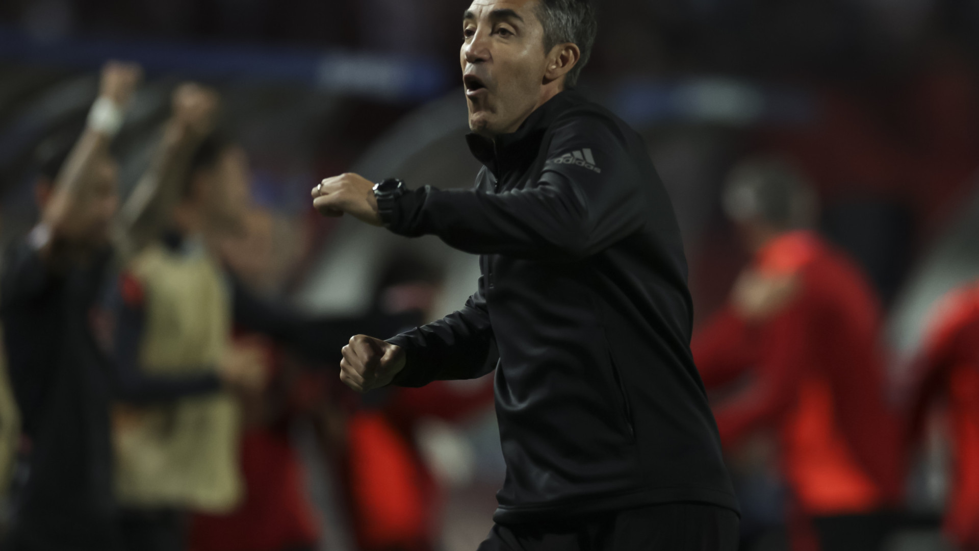 Euforia total. Bruno Lage reagiu assim ao triunfo do Benfica na Champions