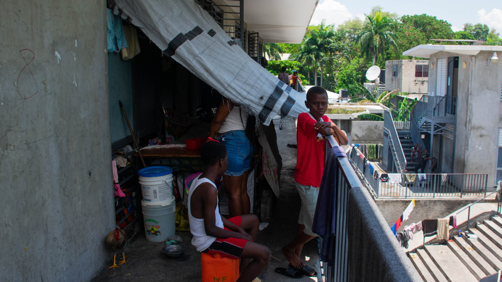 ONG internacionais e do Haiti fazem apelo urgente face a fome extrema