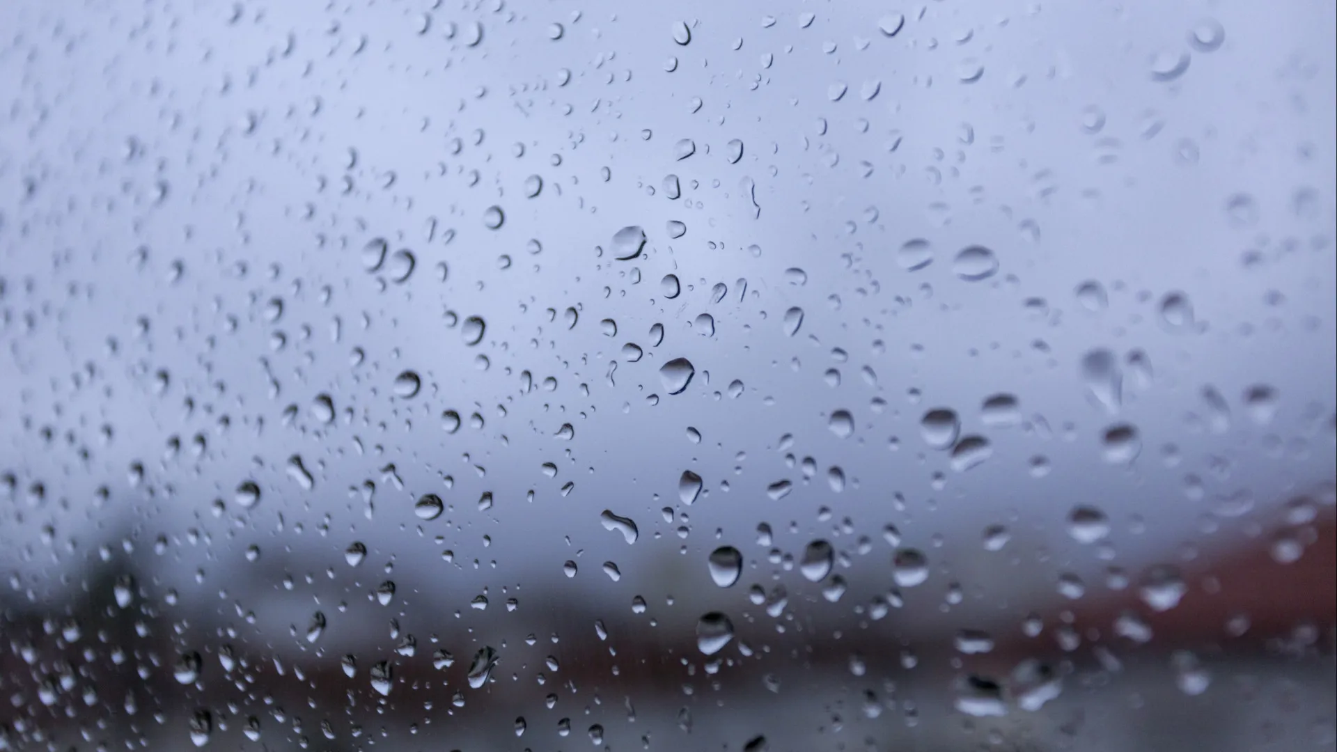 
                    Depressão Kristin deixa três famílias desalojadas em Condeixa-a-Nova
                