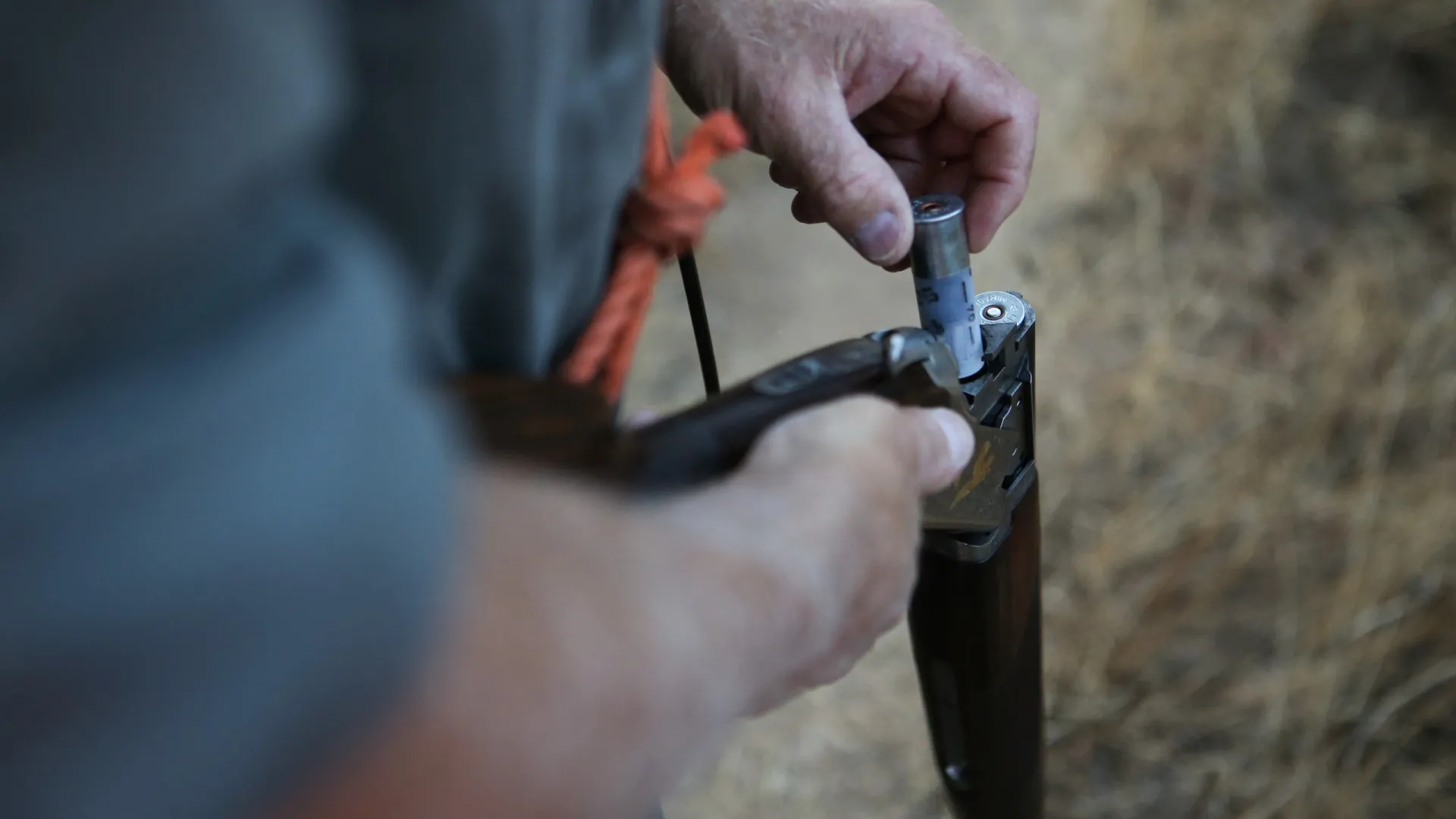 
                    Beja. Detido homem que disparou contra pai e filho em confronto familiar
                
