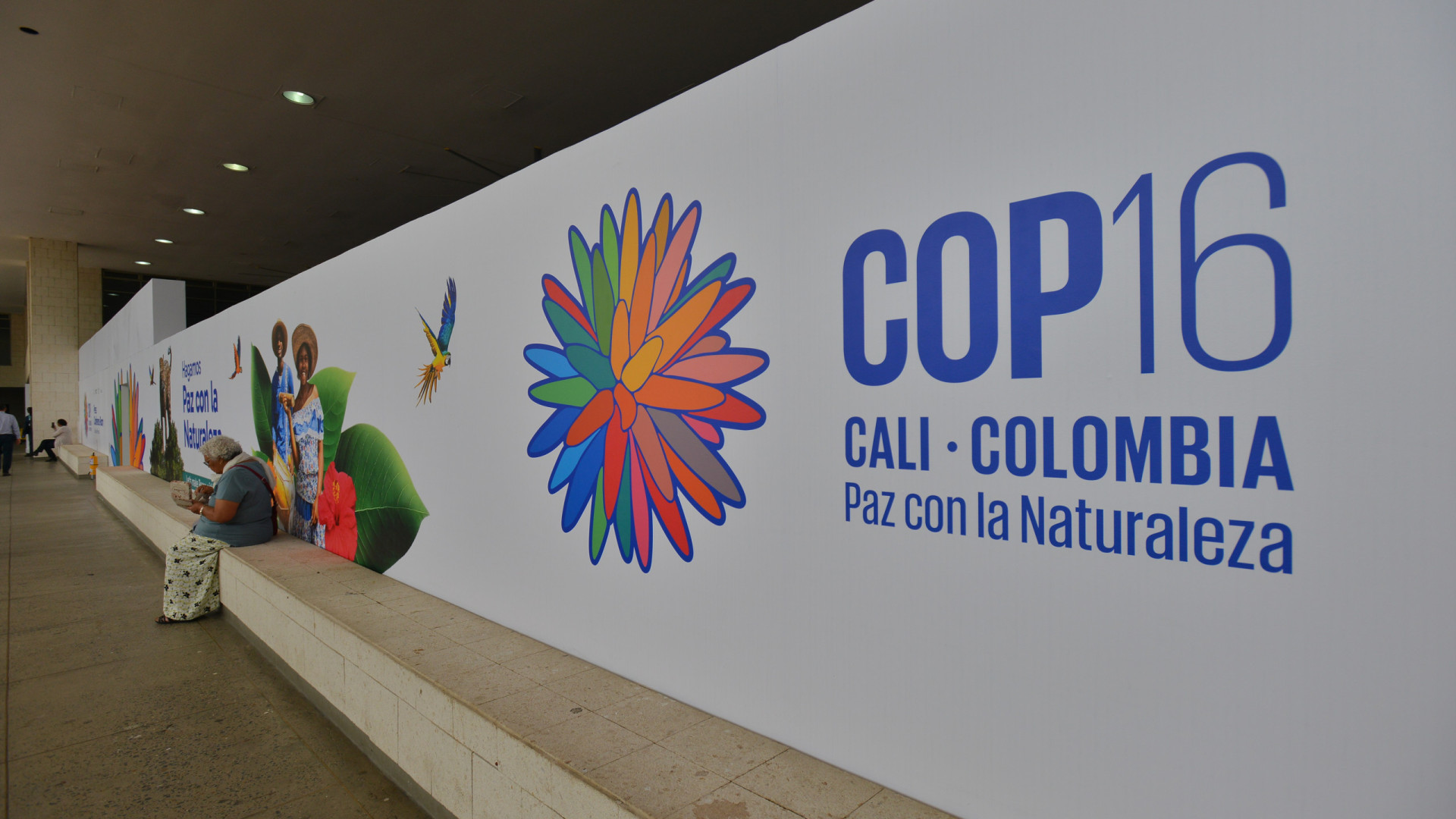 Agência da ONU pede na COP16 mais apoio para pequenos agricultores