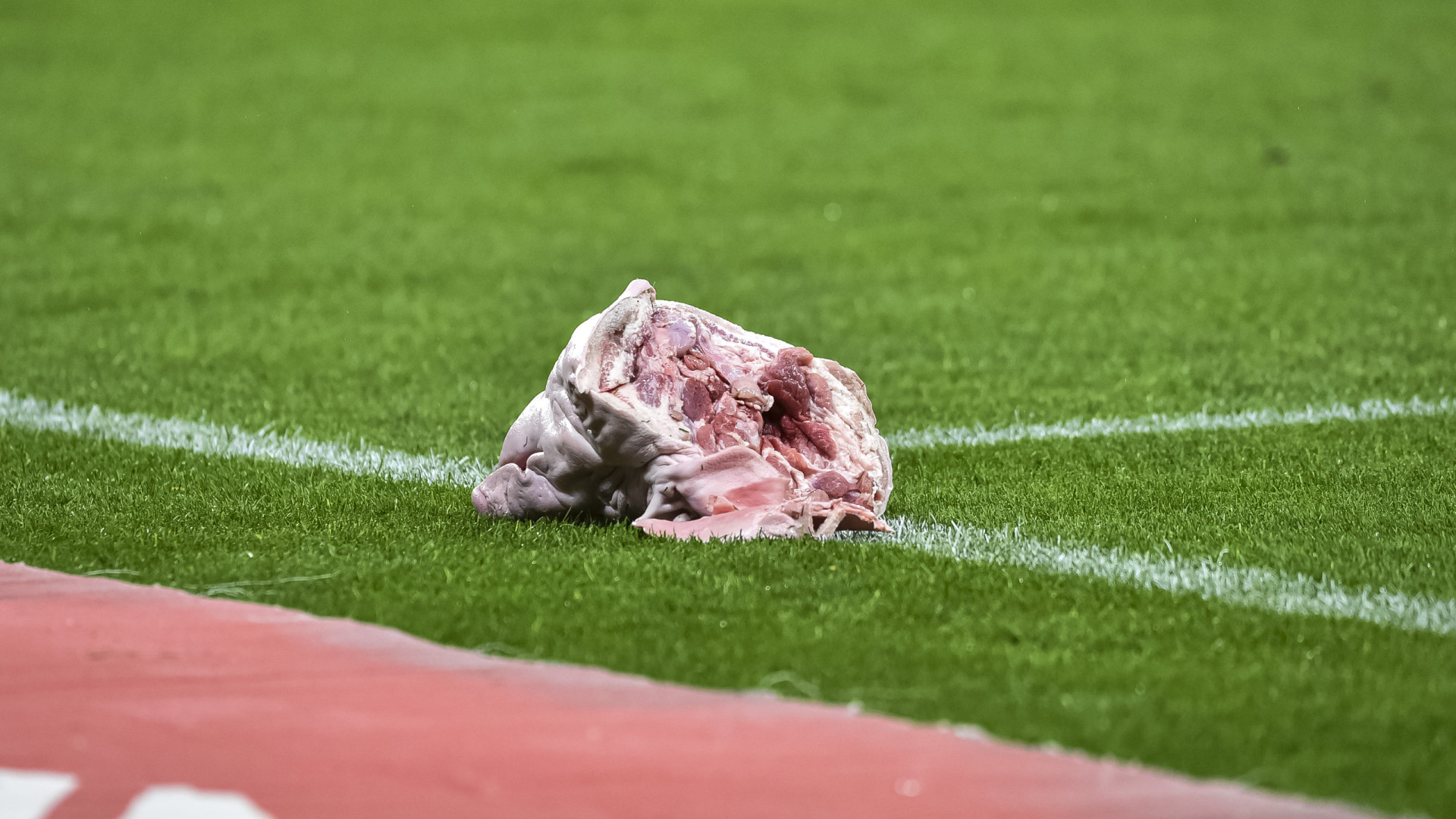 Levou cabeça de porco para o estádio e defende-se: 