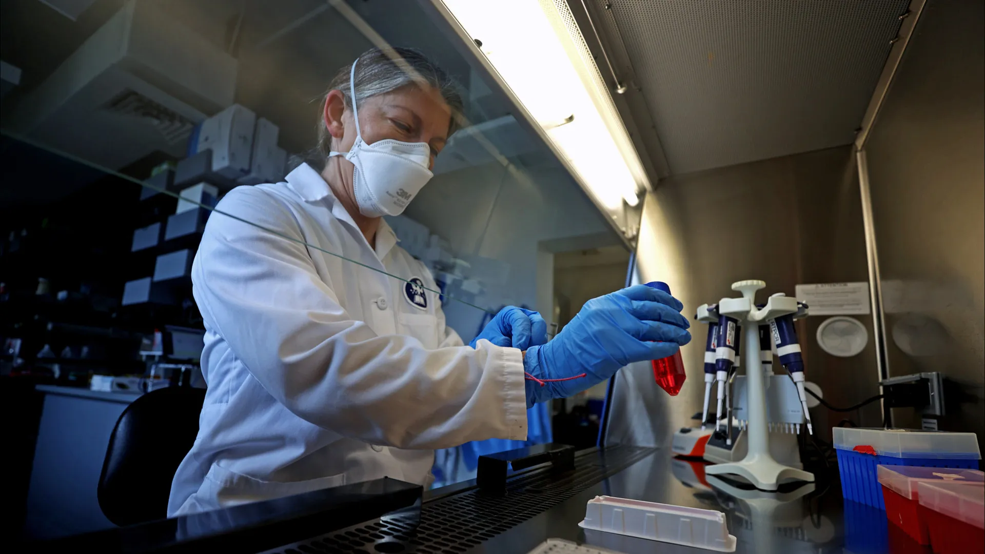 
                    Autoridade europeia pede reforço da segurança contra gripe das aves
                