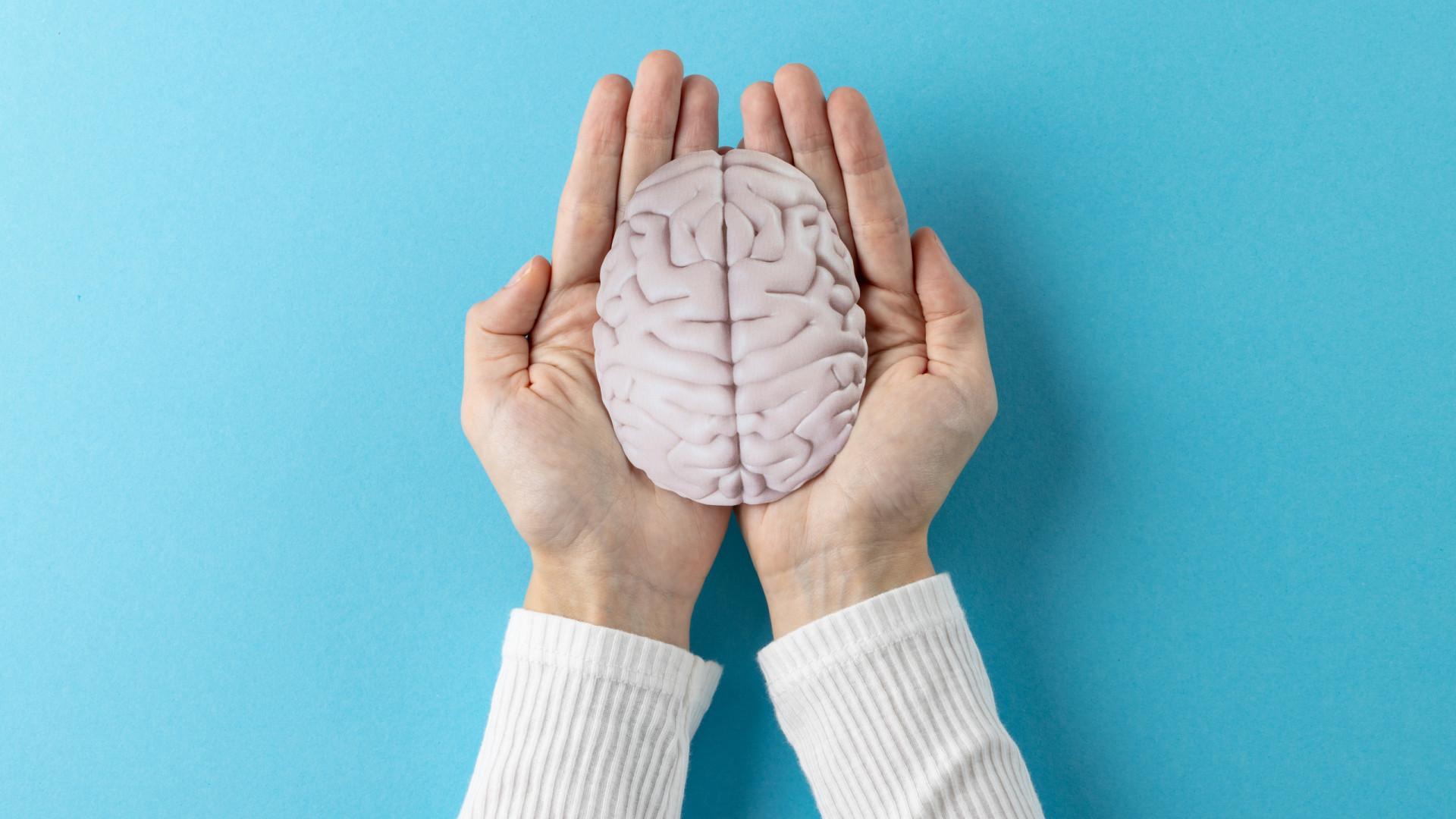 Estudo revela a dieta que melhora a saúde do cérebro