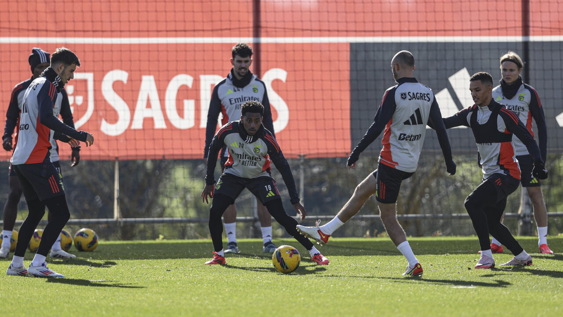 Benfica prepara receção ao Estoril e ausência salta à vista no treino