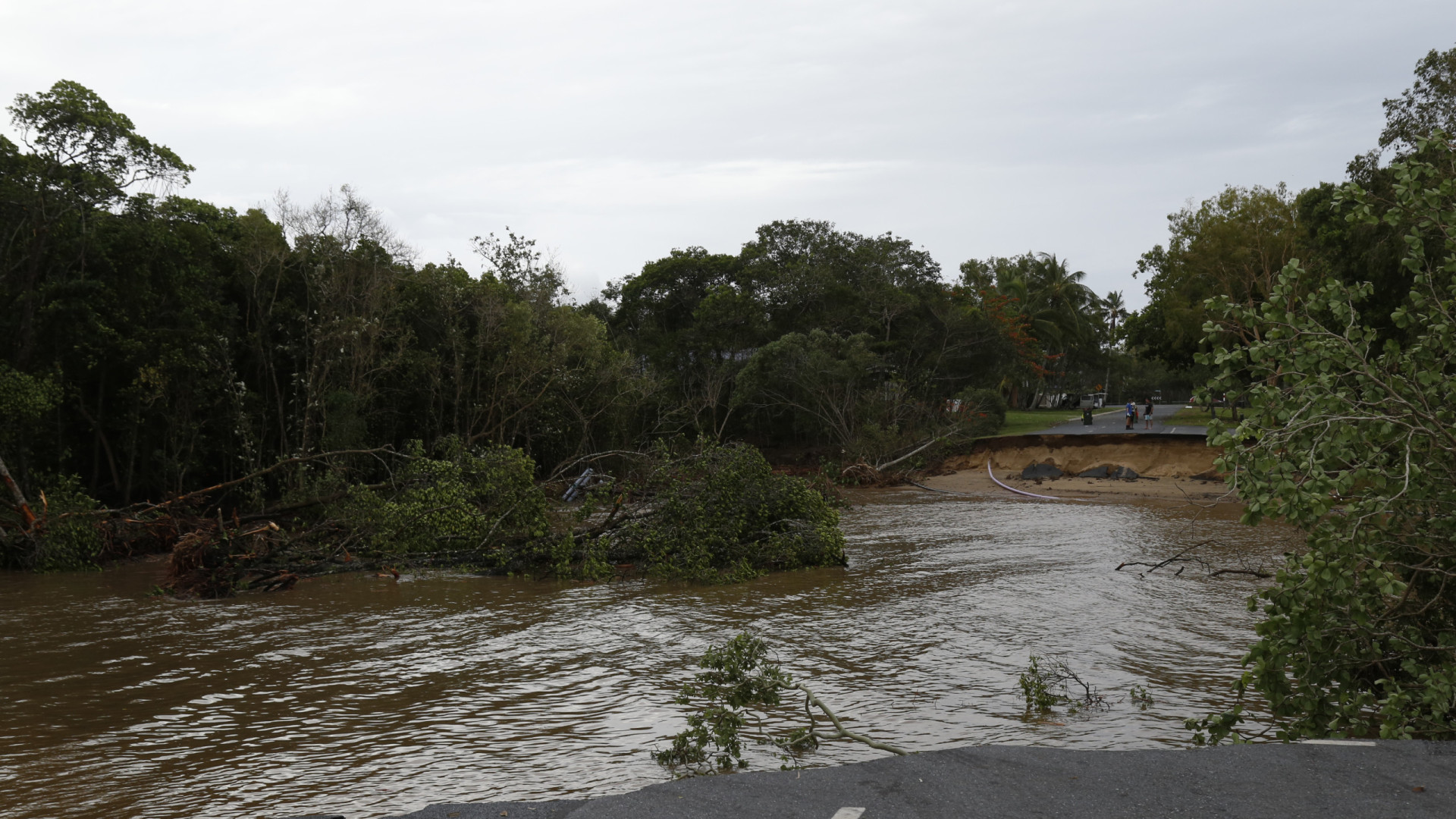 Crianças resgatadas na Austrália após ficarem horas agarradas a árvore