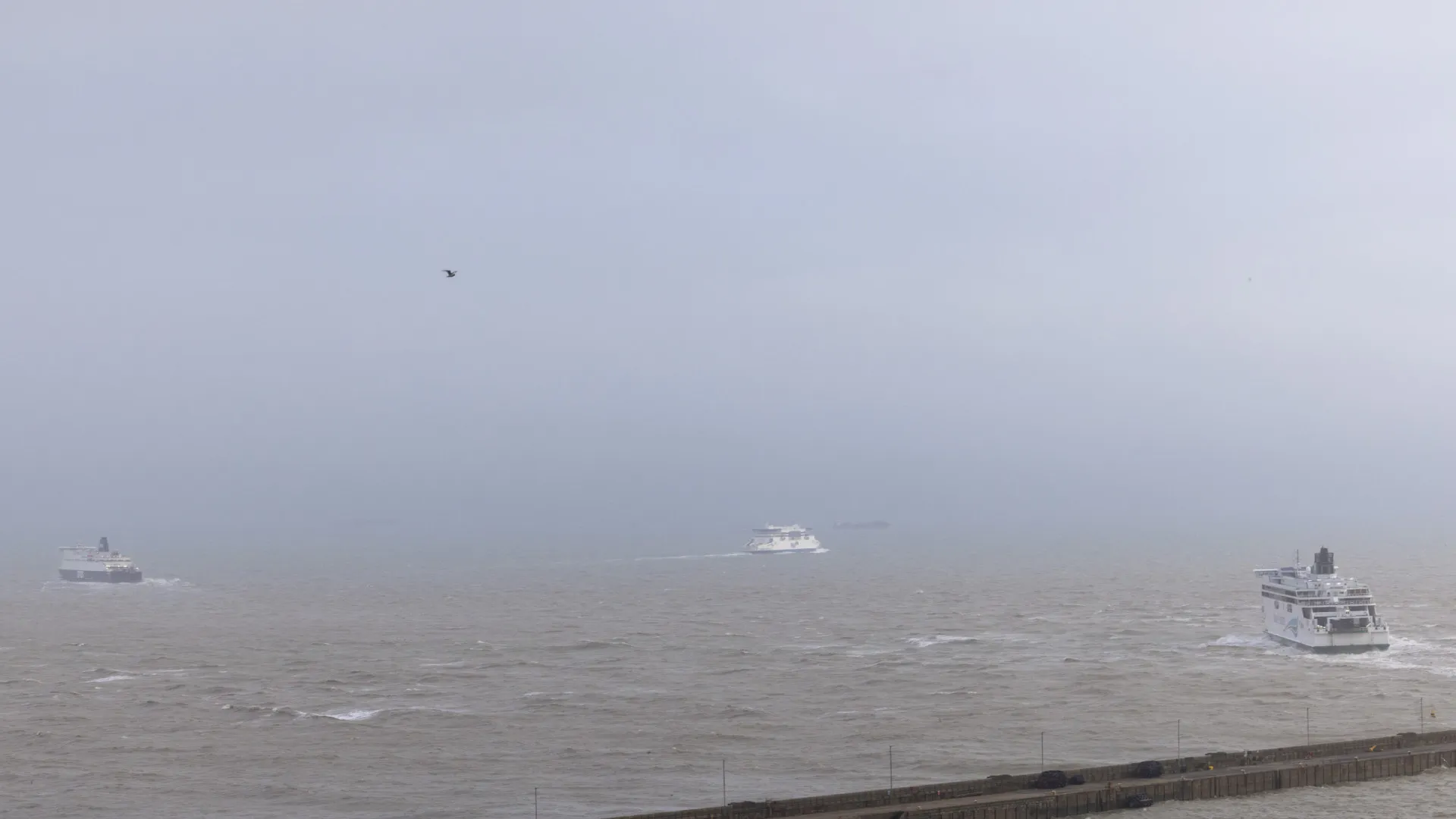 
                    Dois mortos em travessia ilegal do canal da Mancha
                