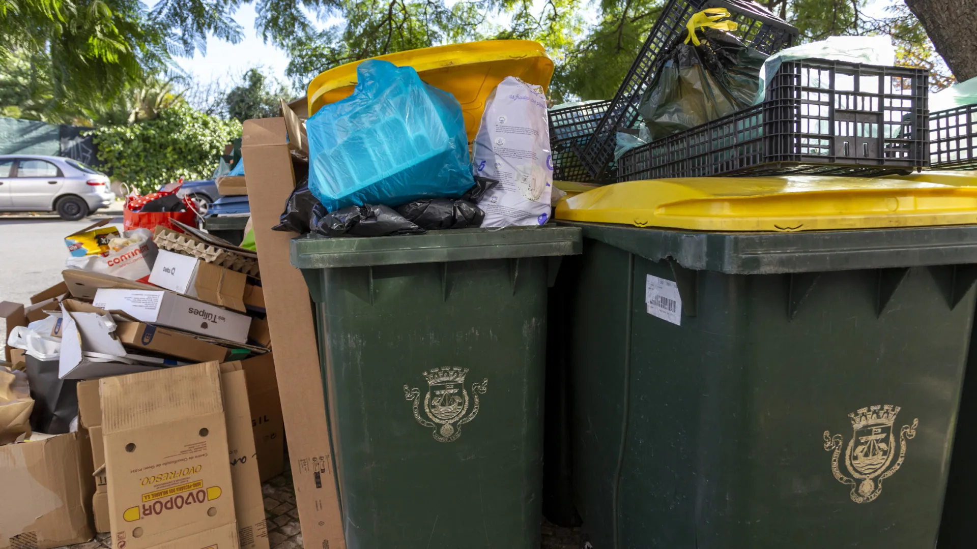 
                    Gestão de resíduos dos maiores desafios em 2026, aponta Quercus
                