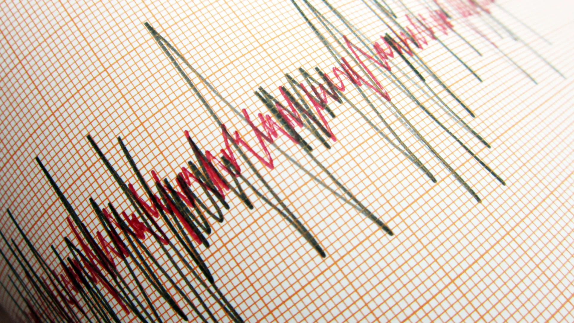 
                    Sismo de magnitude 3,5 na escala de Richter registado na ilha Terceira
                