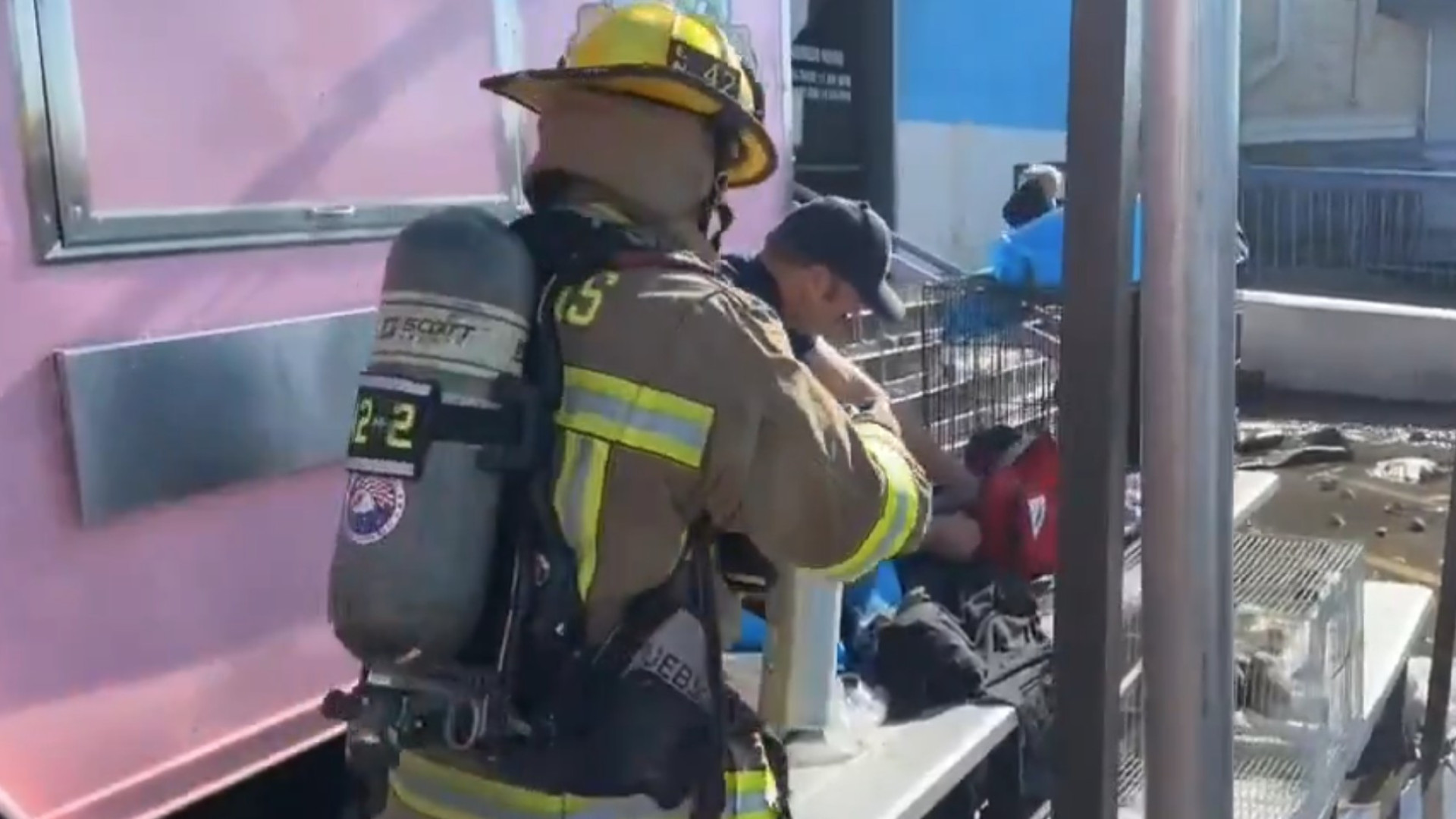 Quase 600 animais morrem em incêndio em centro comercial no Texas