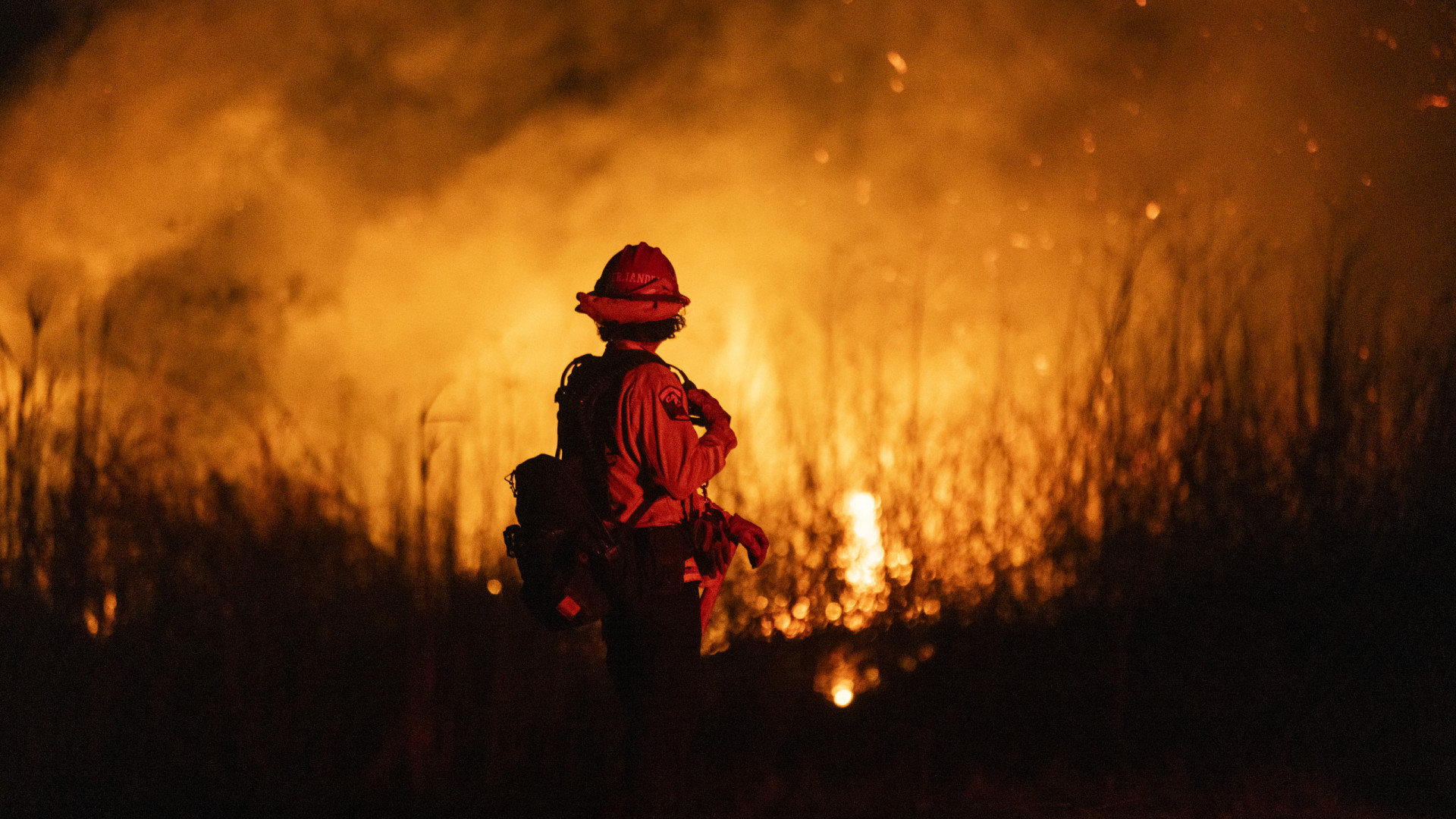 Detidas mais de 50 pessoas por crimes associados aos incêndios em LA