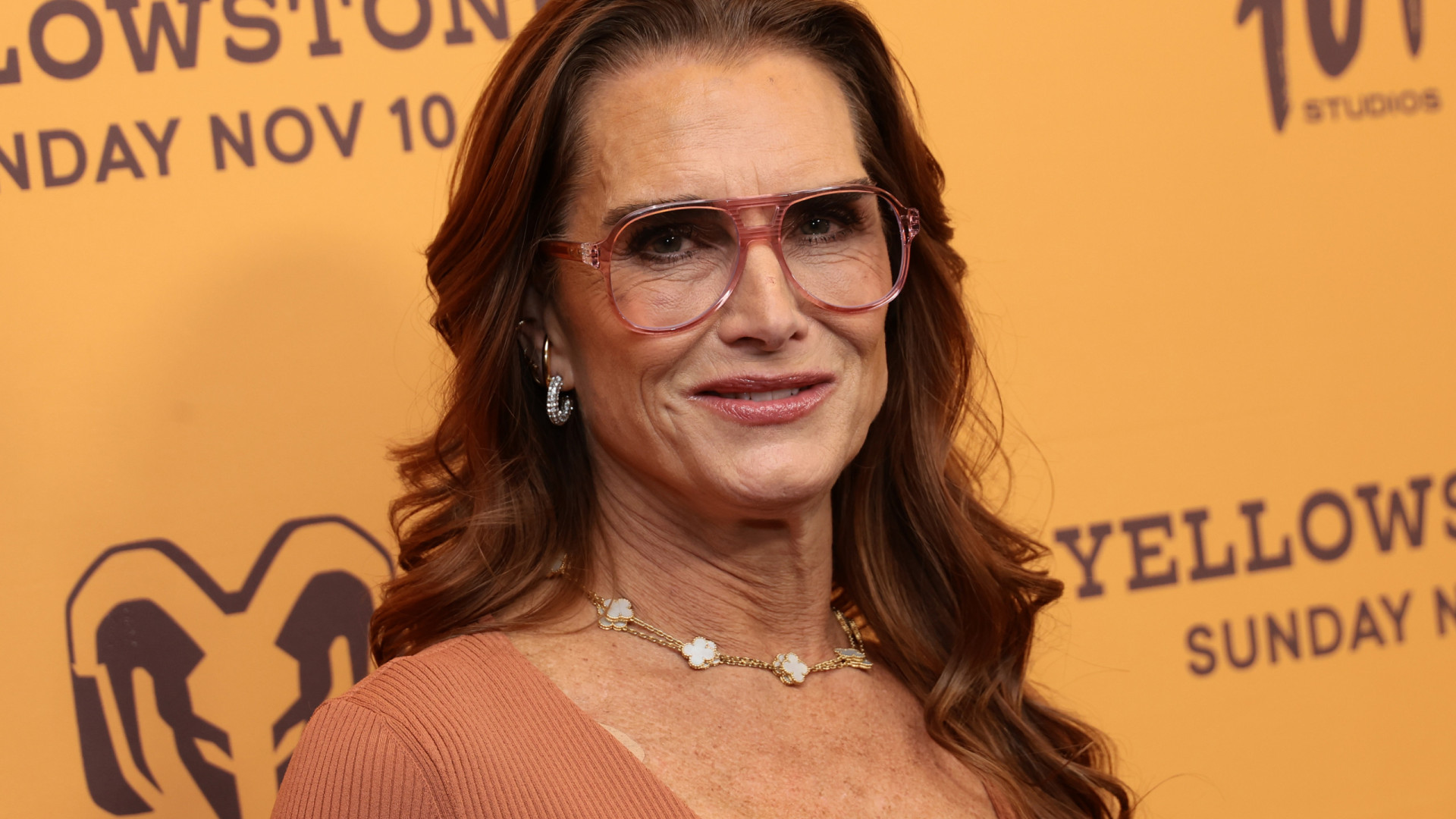 Brooke Shields fala sobre aborto espontâneo 