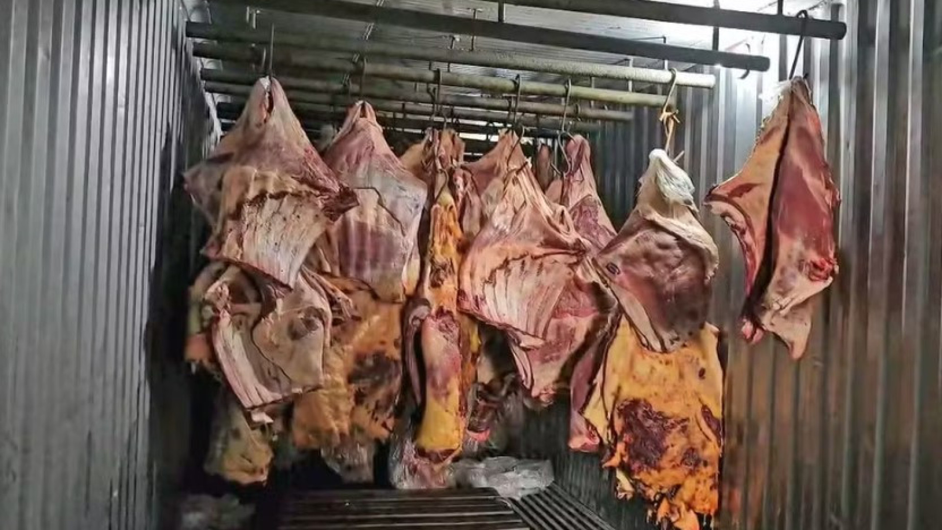 Revenderam 800 toneladas de carne que ficou submersa em cheias no Brasil