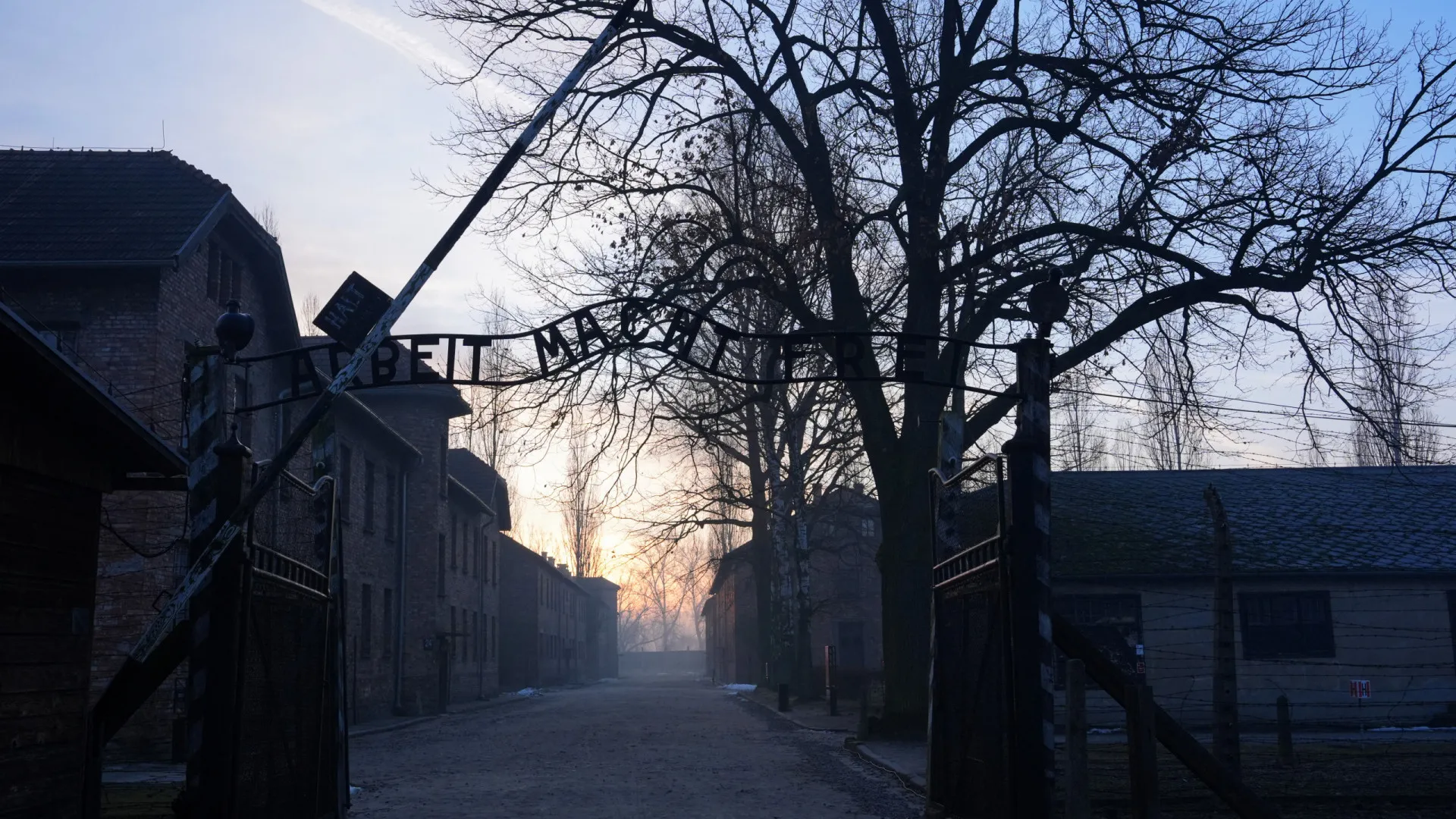 
                    Sobreviventes exigem cancelamento de leilão de objetos do Holocausto
                