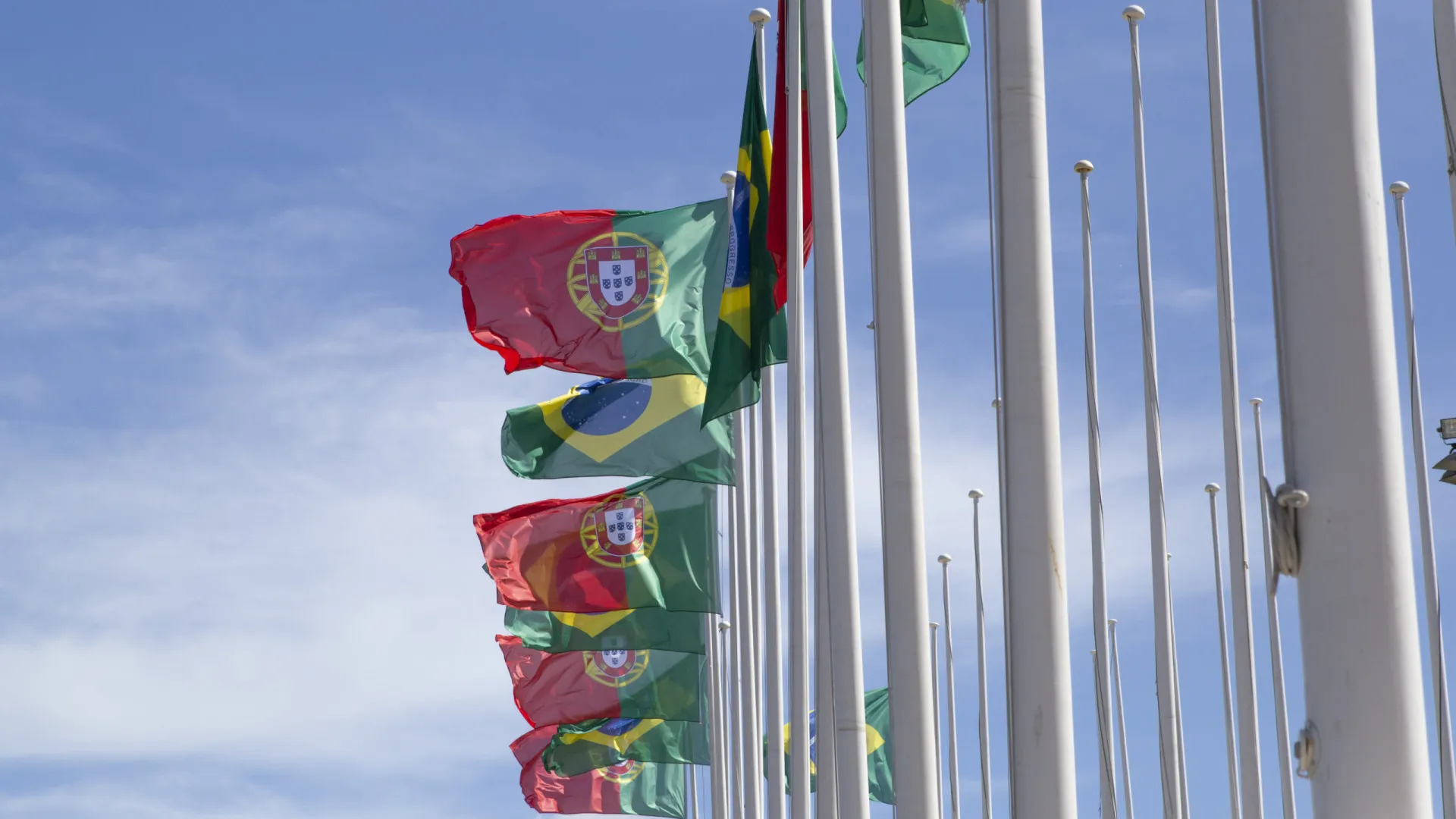 
                    PCC em Portugal para além da droga: Imóveis, comércio e 
