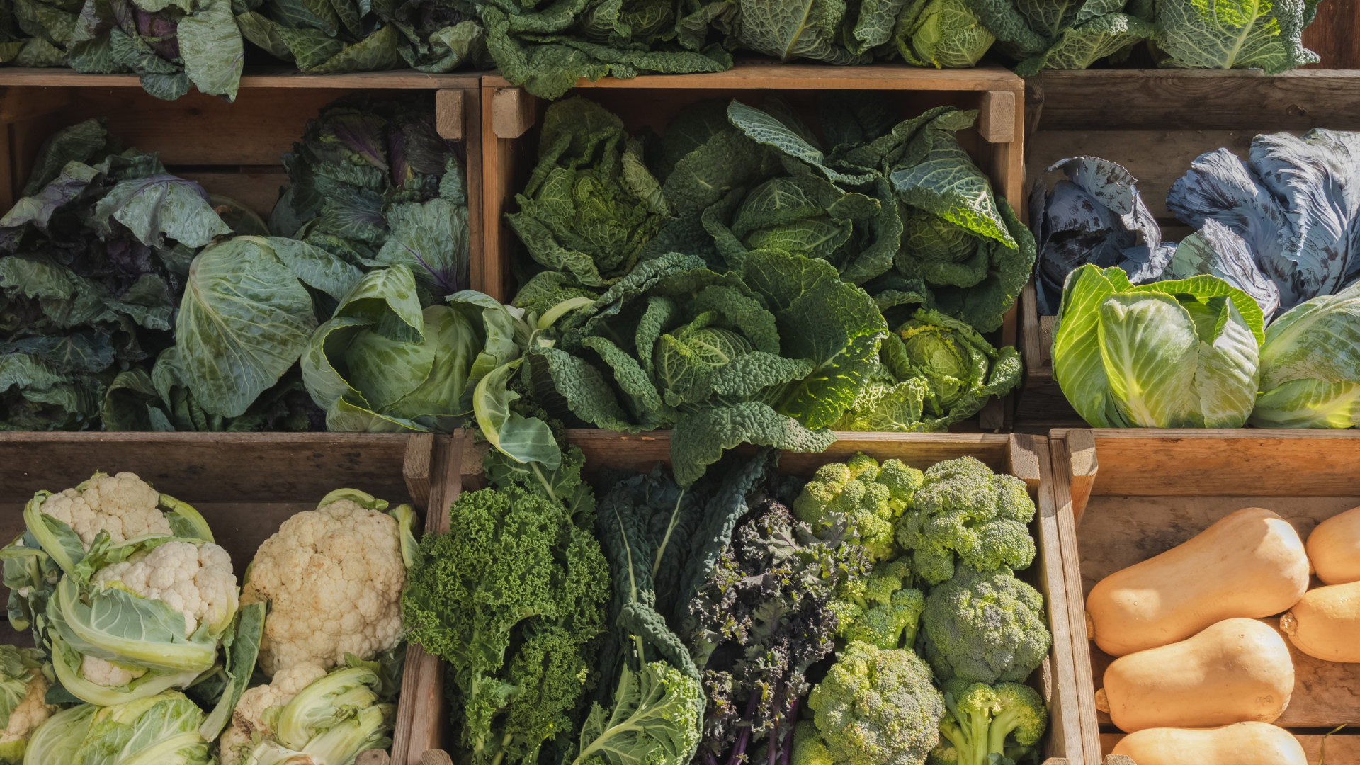 Nutricionista recomenda hortícola com mais vitamina C do que a laranja