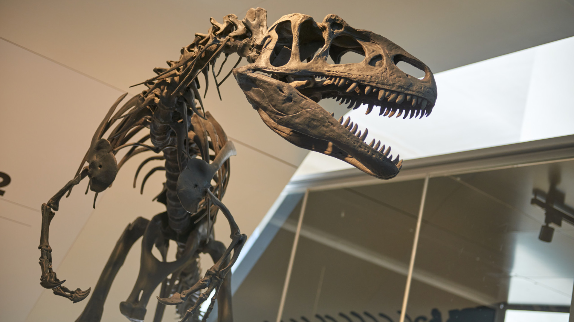 Nova teoria associa fim dos dinossauros ao desenvolvimento da fruta