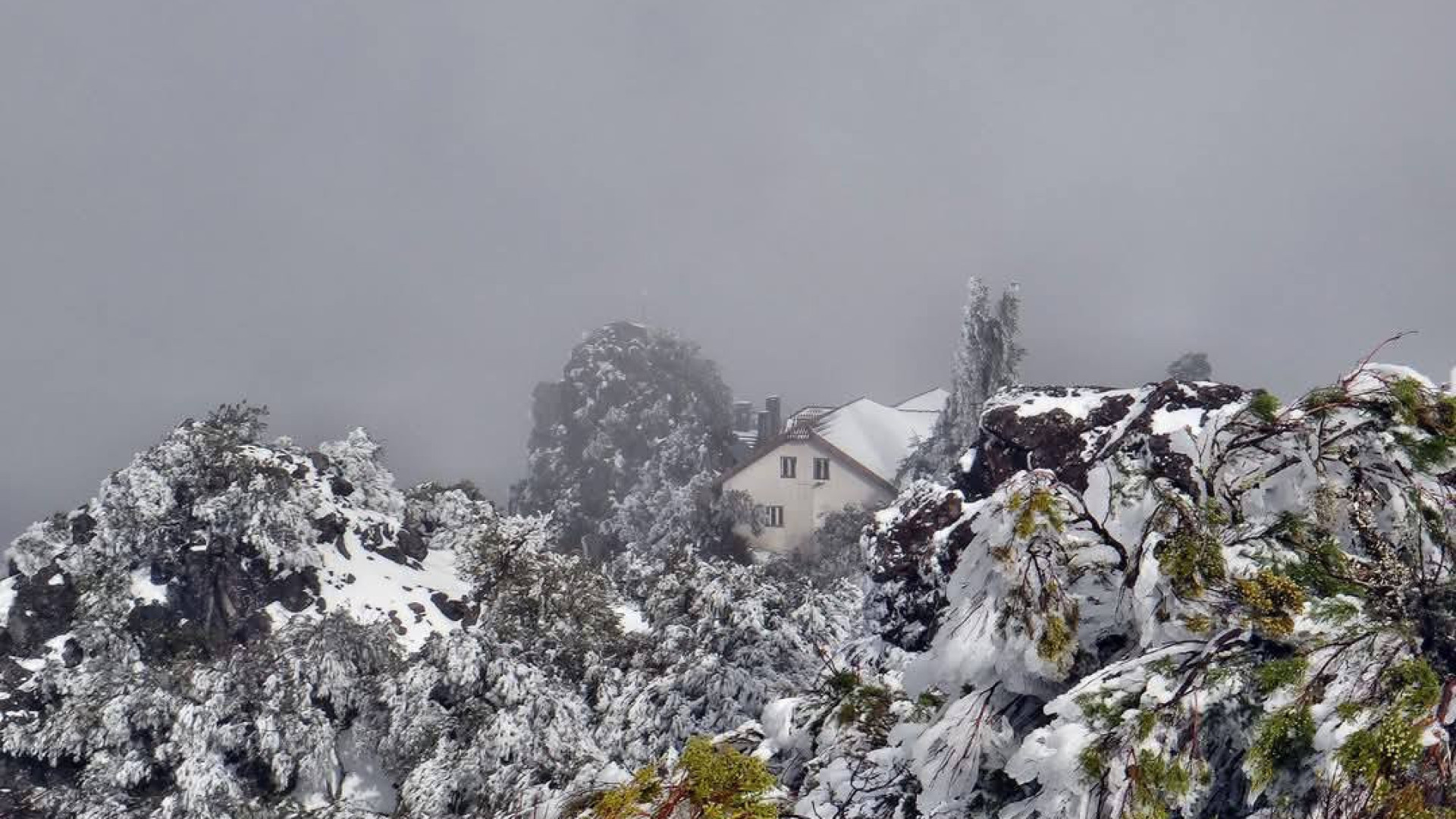 Carnaval no Funchal… Inverno na serra. Neve pintou a Madeira de branco