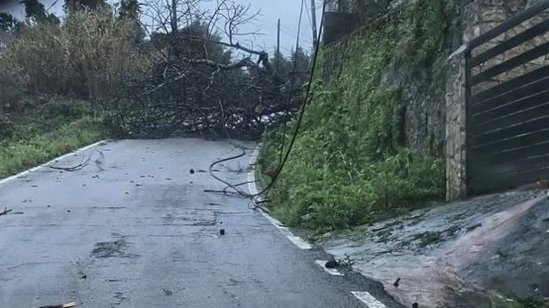 
                    Escolas fechadas, estradas cortadas e danos em estruturas em Portalegre
                