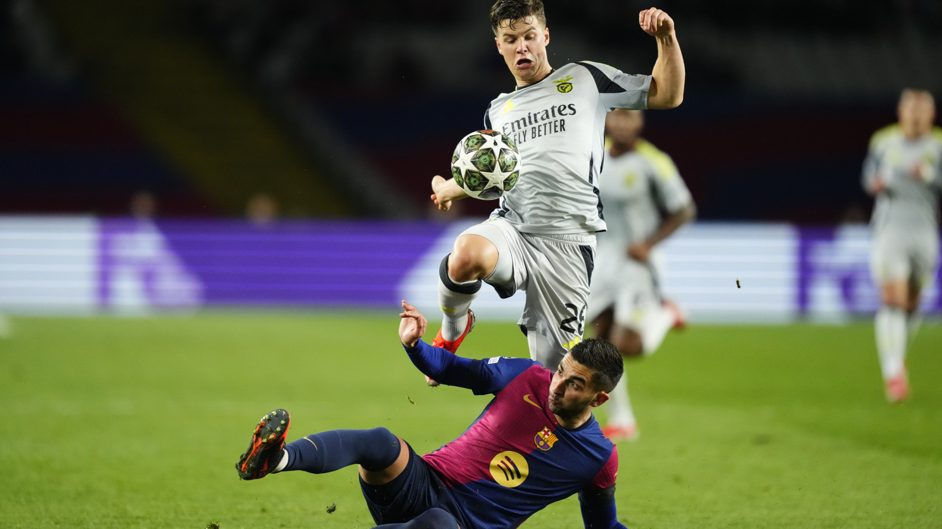 Samuel Dahl reage à eliminação do Benfica na Champions: 