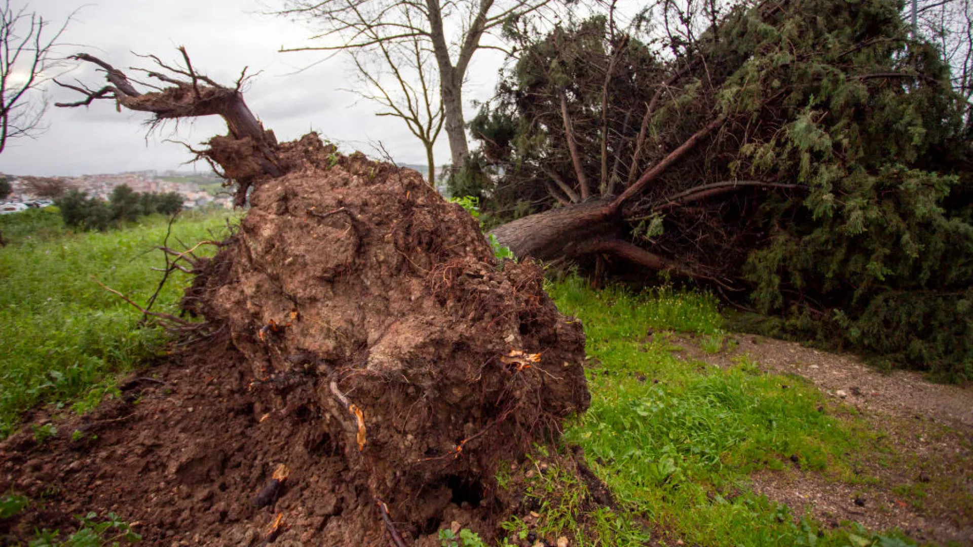 
                    Derrocada em Torres Novas leva à evacuação de três habitações
                