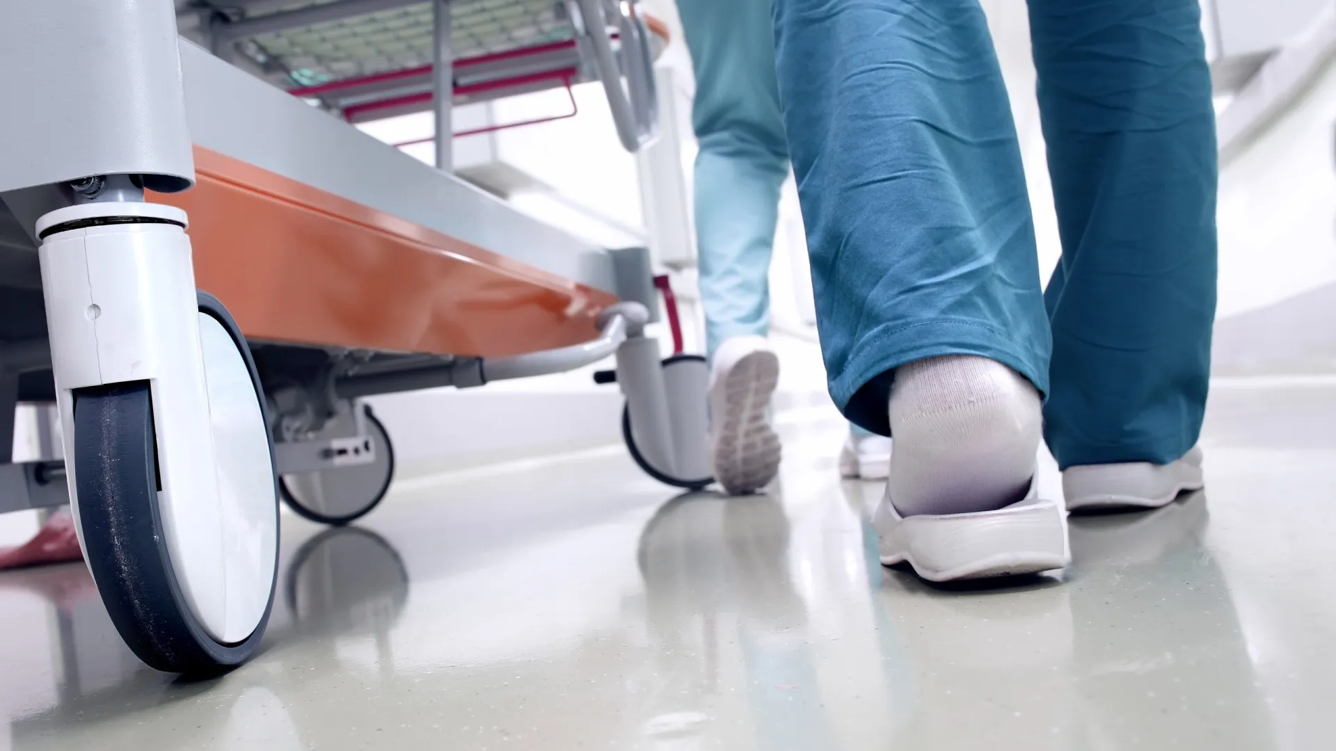 
                    MP abre inquérito ao caso de feto encontrado morto no Hospital Cuf Tejo
                