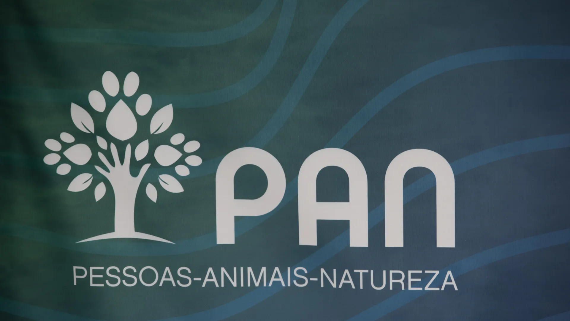 
                    Carolina Pia anuncia candidatura à liderança do PAN contra Sousa Real
                