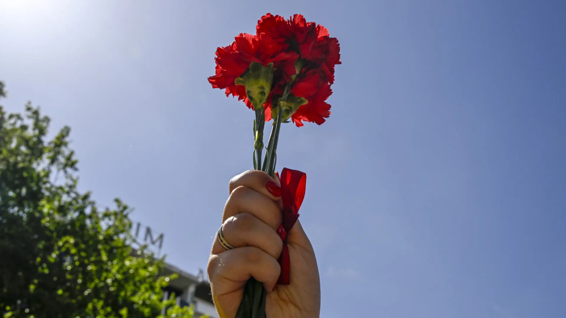 
                    Classificada como tesouro nacional bobina com senha do 25 de Abril
                