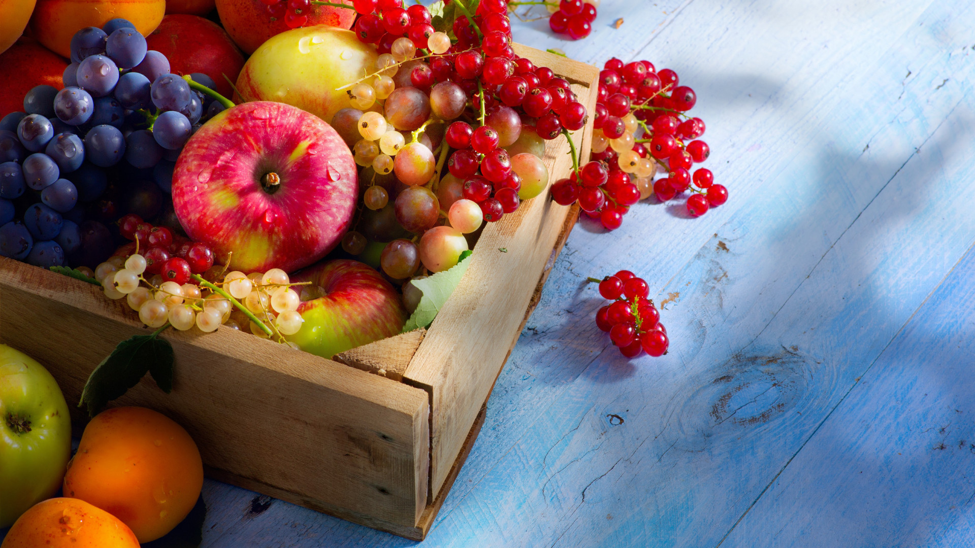 Não tem jardim? Sem problema. Eis 8 frutas que pode cultivar em vasos