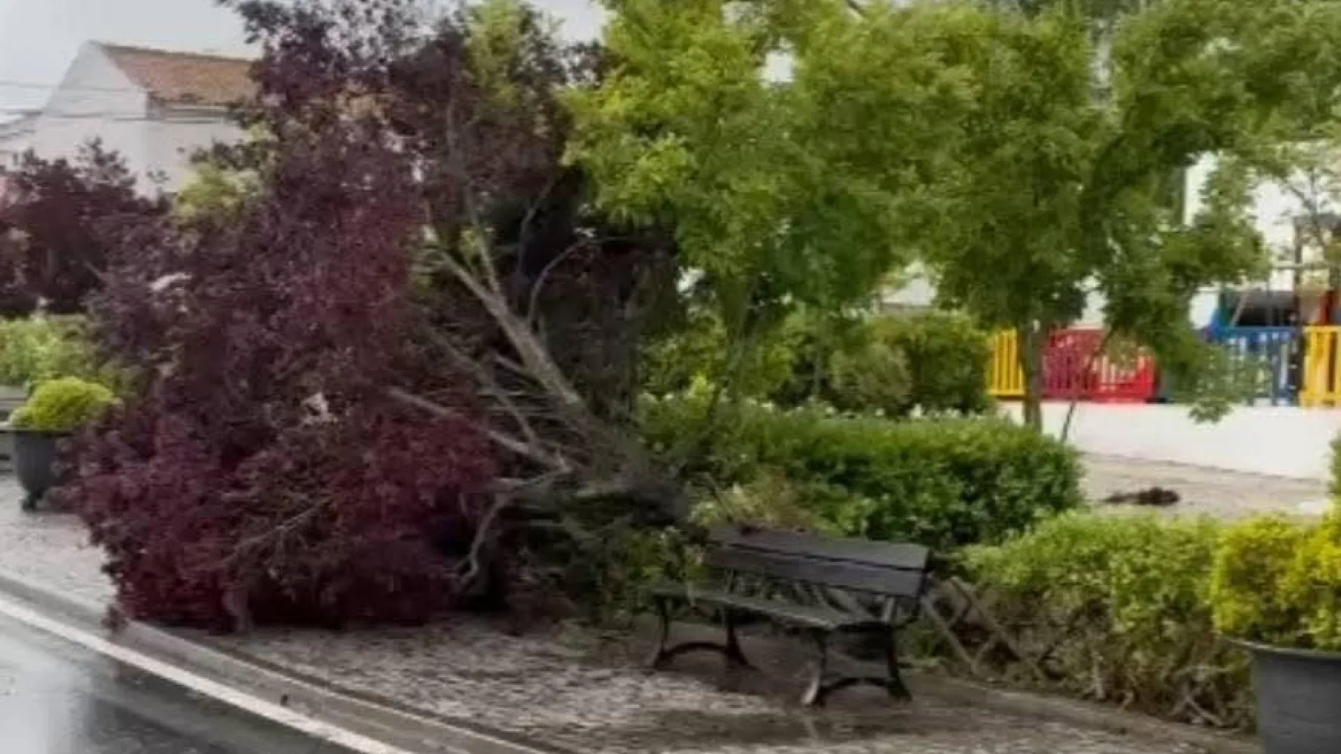 Cerca de 1.500 ocorrências registadas até às 8h00. Número deverá subir