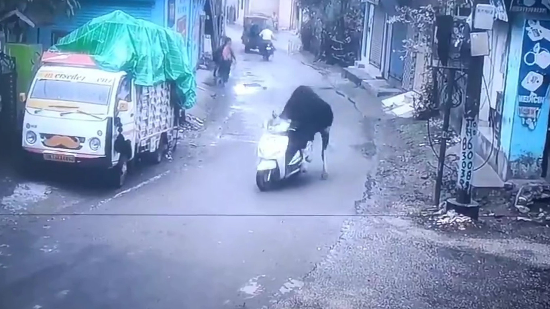 Touro conduz mota na Índia (e há vídeo). 