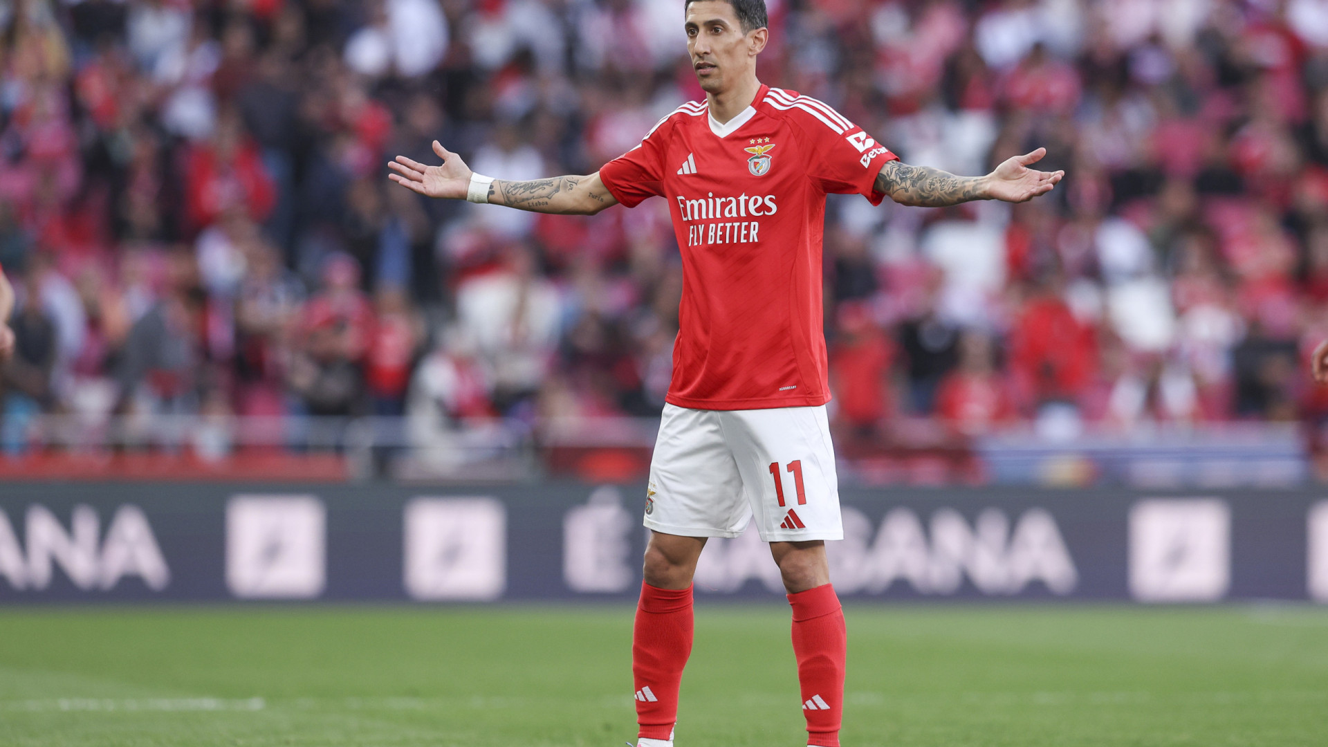 Di María é trunfo na manga de Bruno Lage para o dérbi contra o Sporting