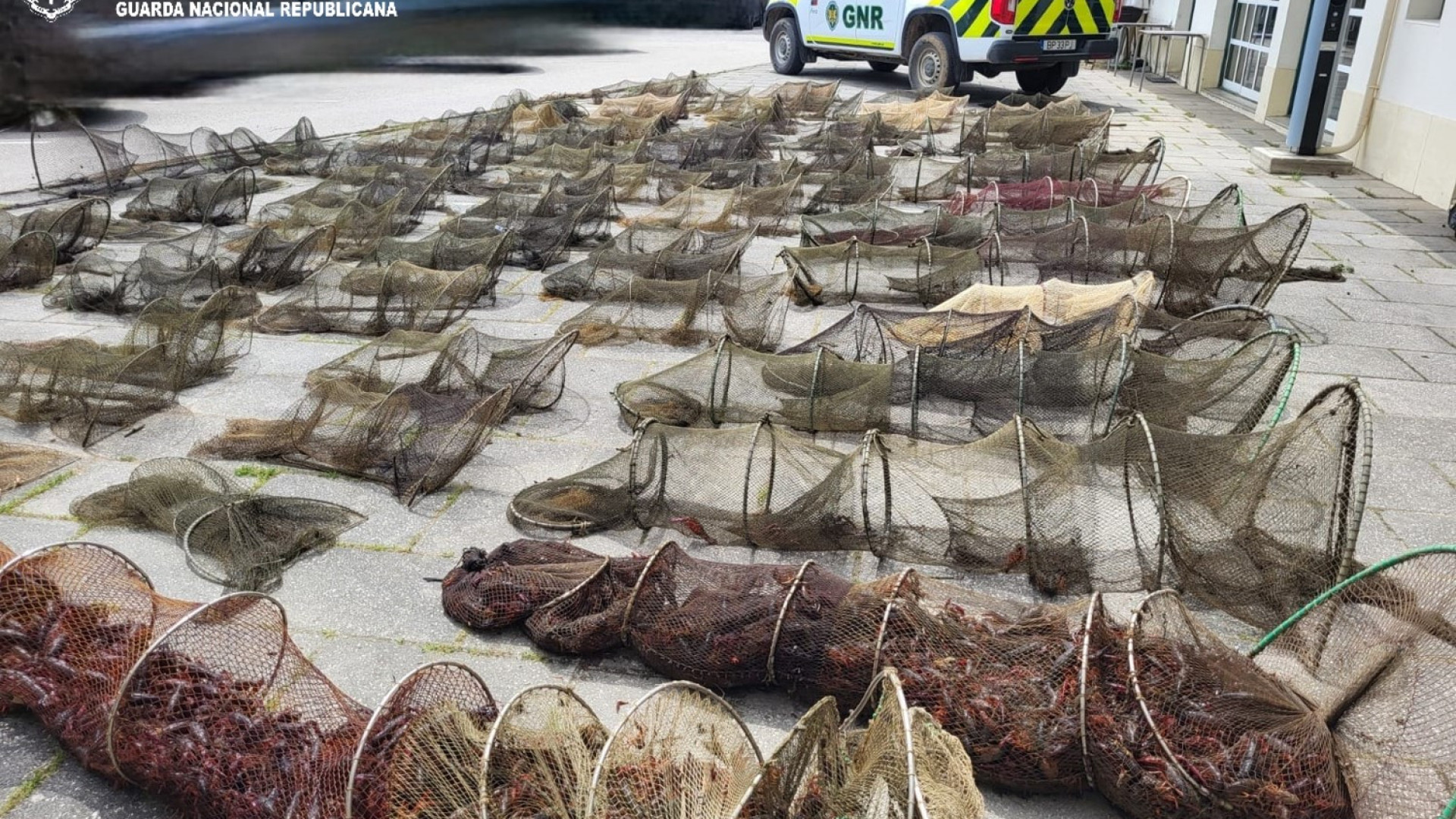 Golegã. GNR apreende 90 nassas usadas para pesca ilegal em área protegida