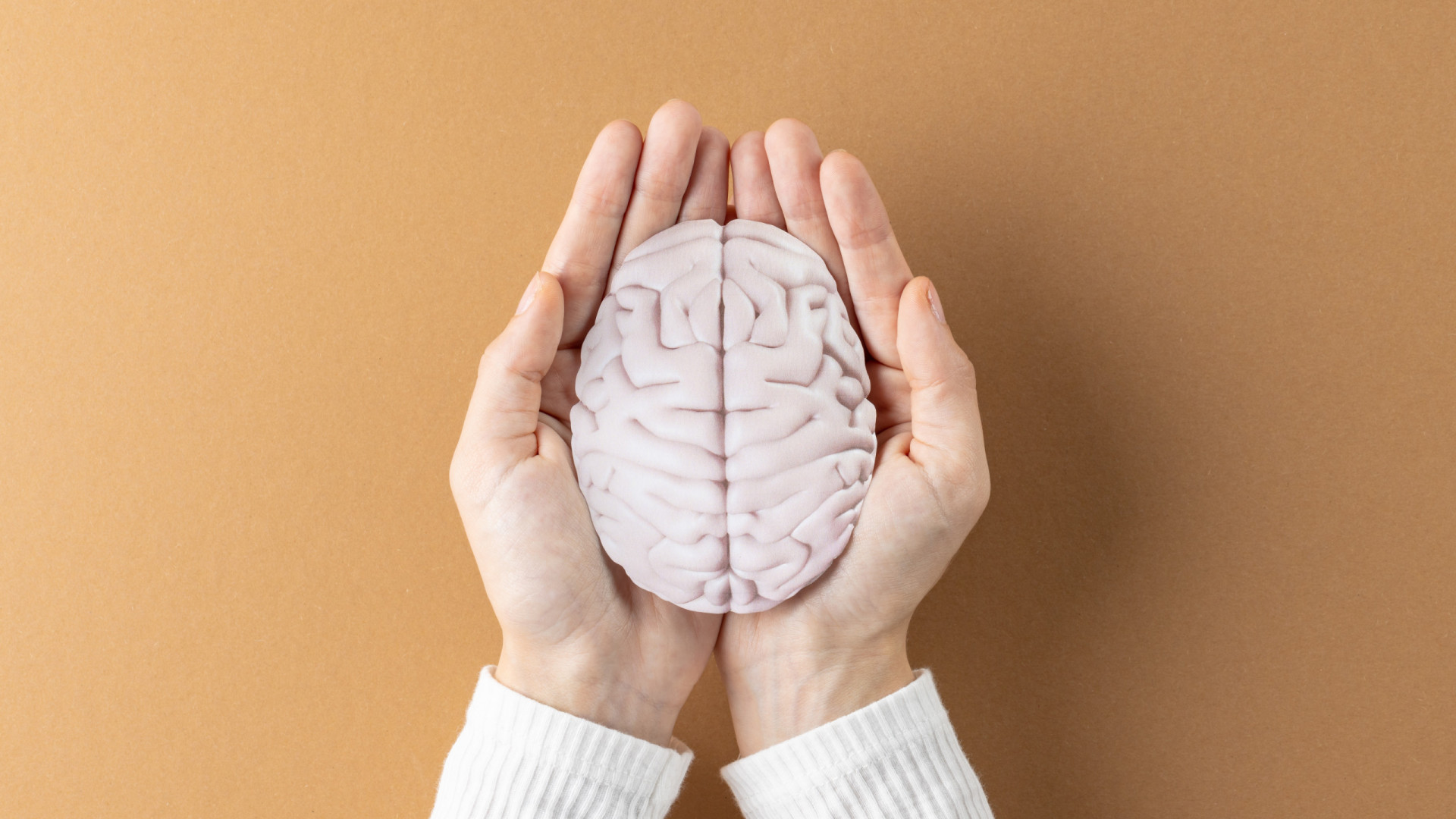Cérebro. O hábito matinal que uma neurocientista nunca esquece ao acordar