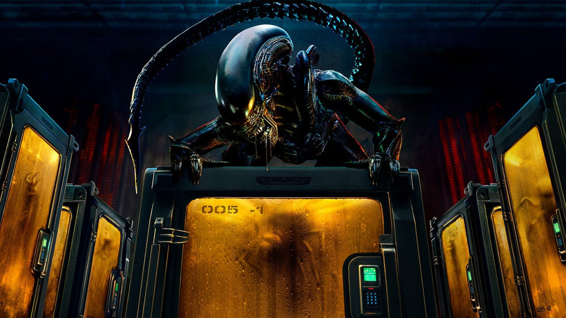 Disney revela série com Kim Kardashian, mais Marvel e 'Alien' para 2025