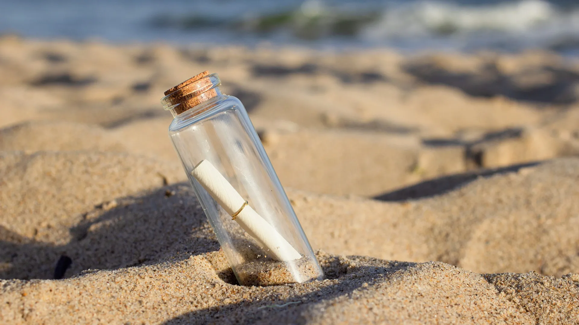 
                    Cão encontra garrafa com mensagem em praia escocesa. Terá feito 4 mil km
                