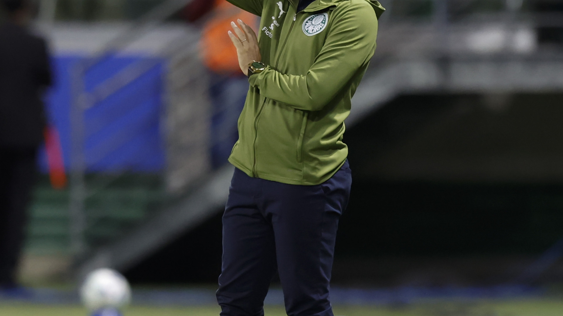 Palmeiras bate Botafogo e Abel Ferreira 'aperta' com Leonardo Jardim