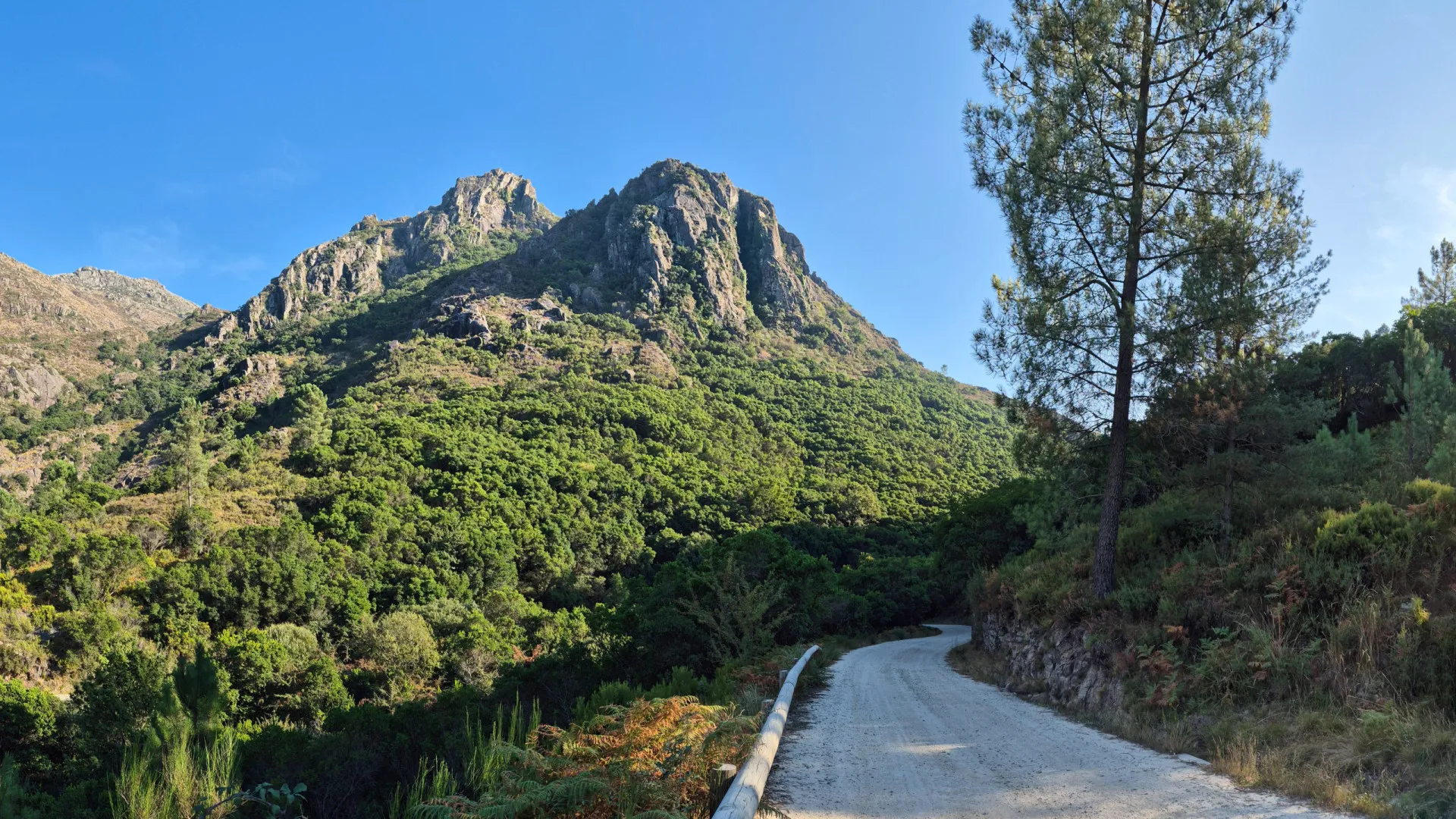 
                    Bombeiros e GNR em operação de resgate de quatro estrangeiros no Gerês
                