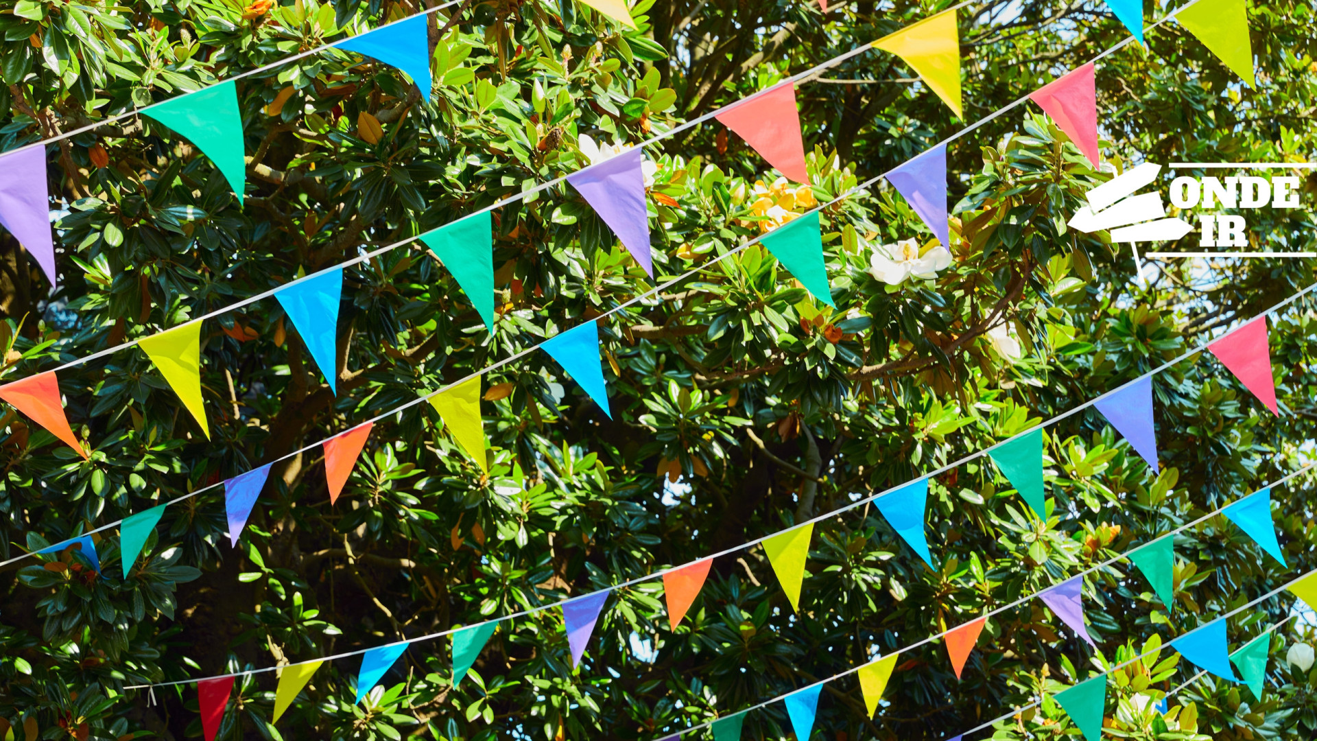 Fim de semana de arraiais e não só: 10 boas ideias para sair de casa